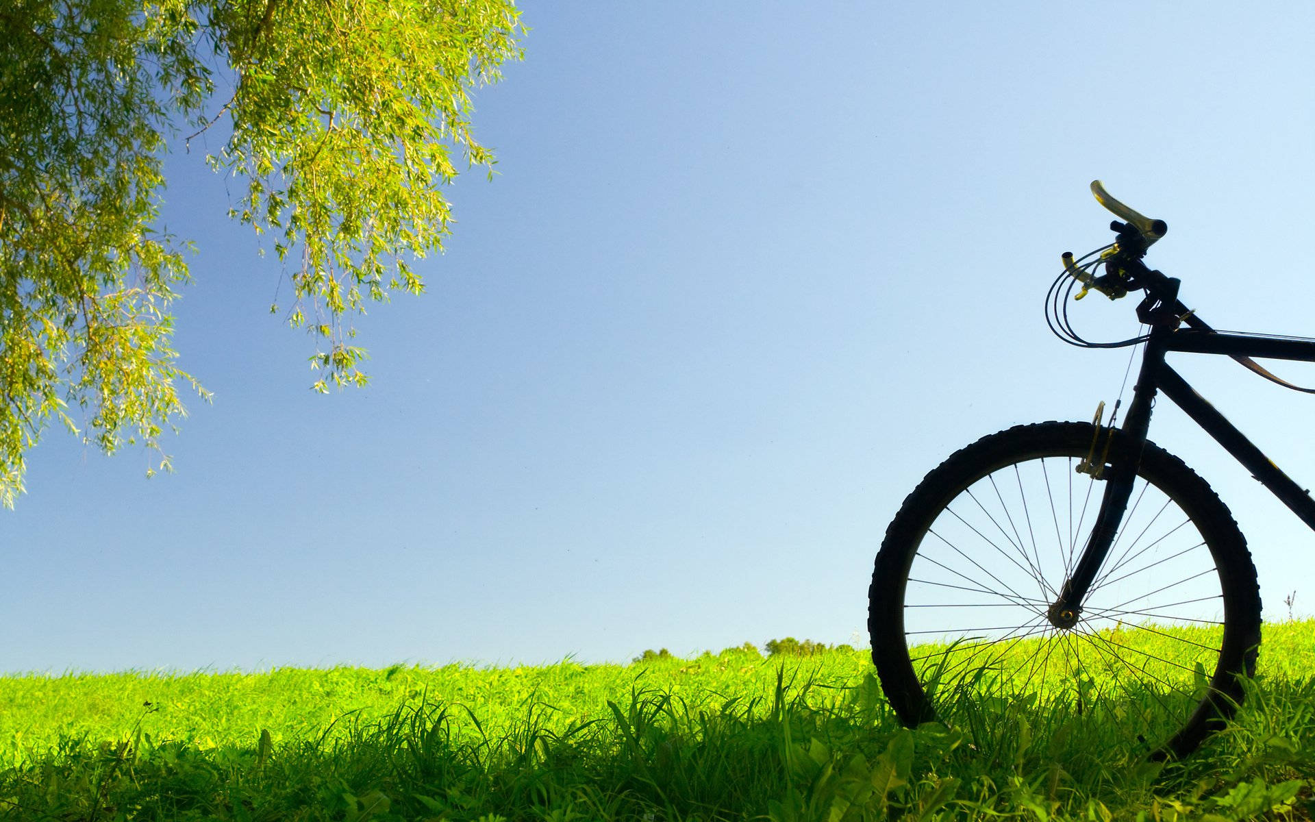 Mountain Bike 1920X1200 Wallpaper and Background Image