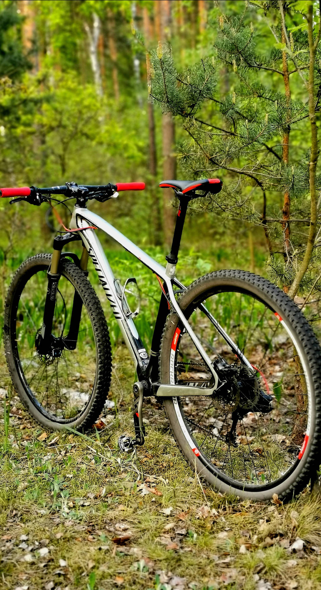 1986X3648 Mountain Bike Wallpaper and Background