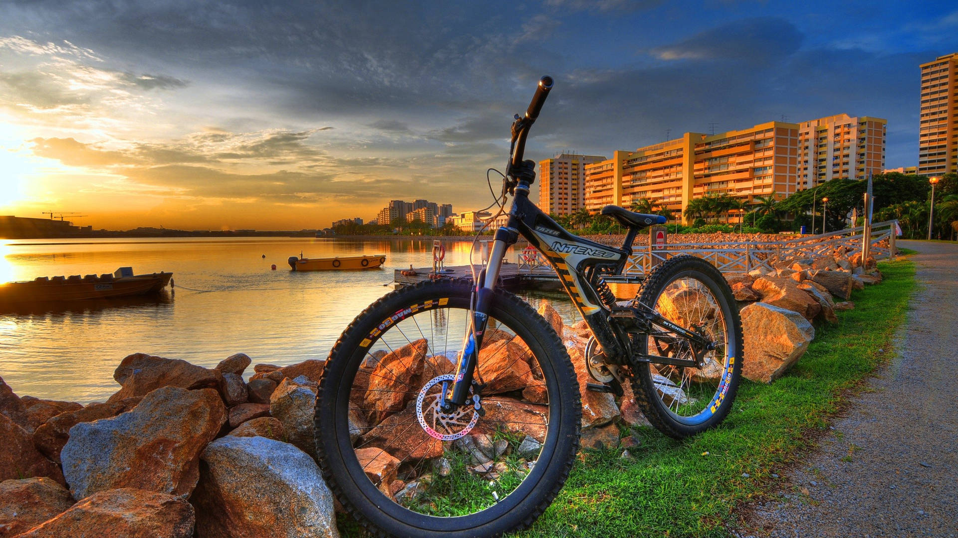 Mountain Bike 2560X1440 Wallpaper and Background Image