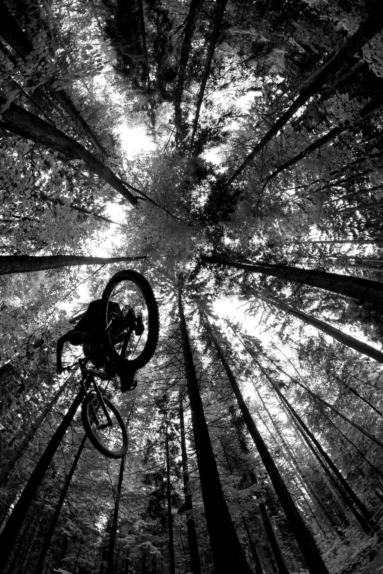 Mountain Bike 2624X3936 Wallpaper and Background Image