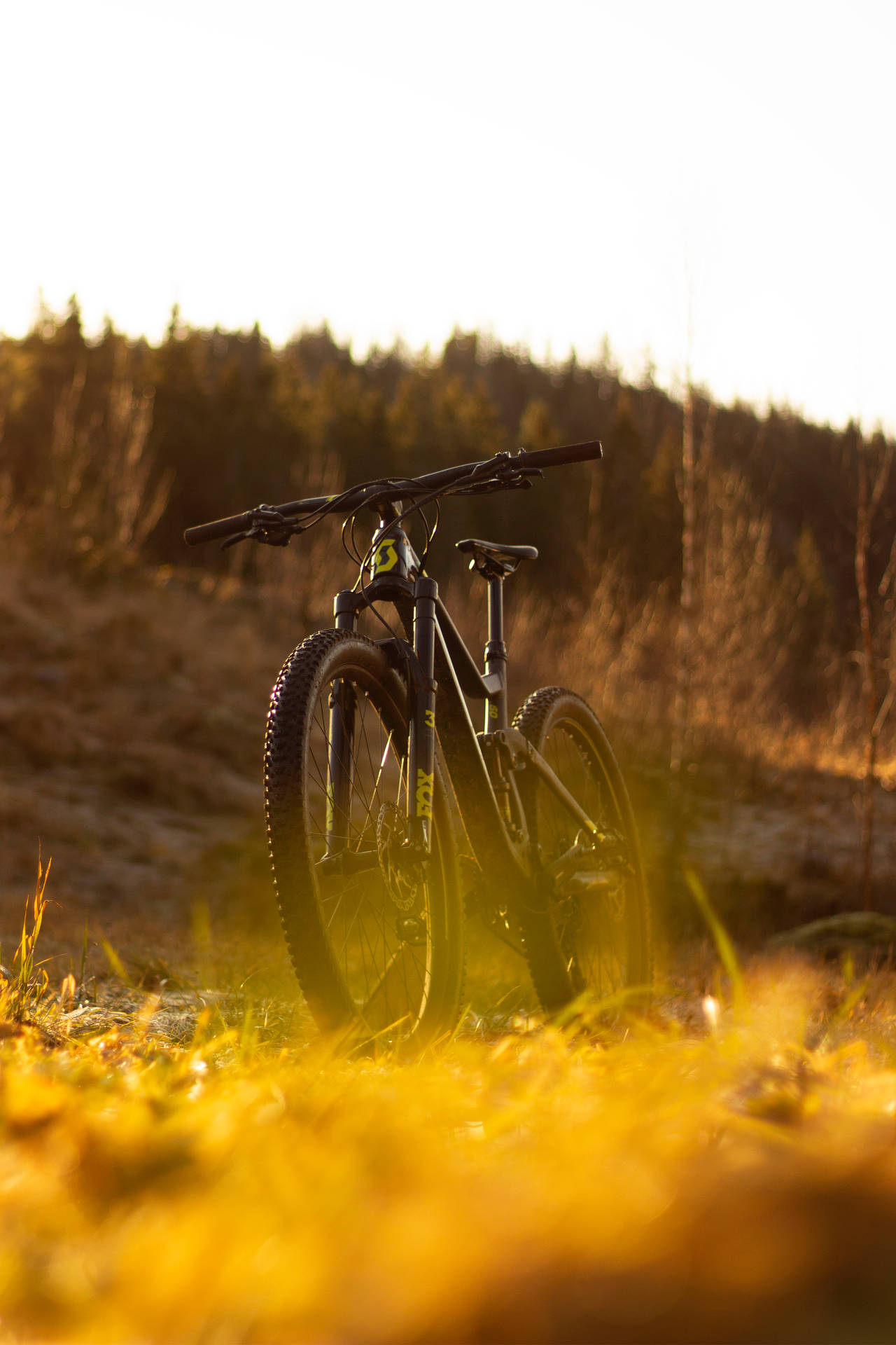 3000X4500 Mountain Bike Wallpaper and Background