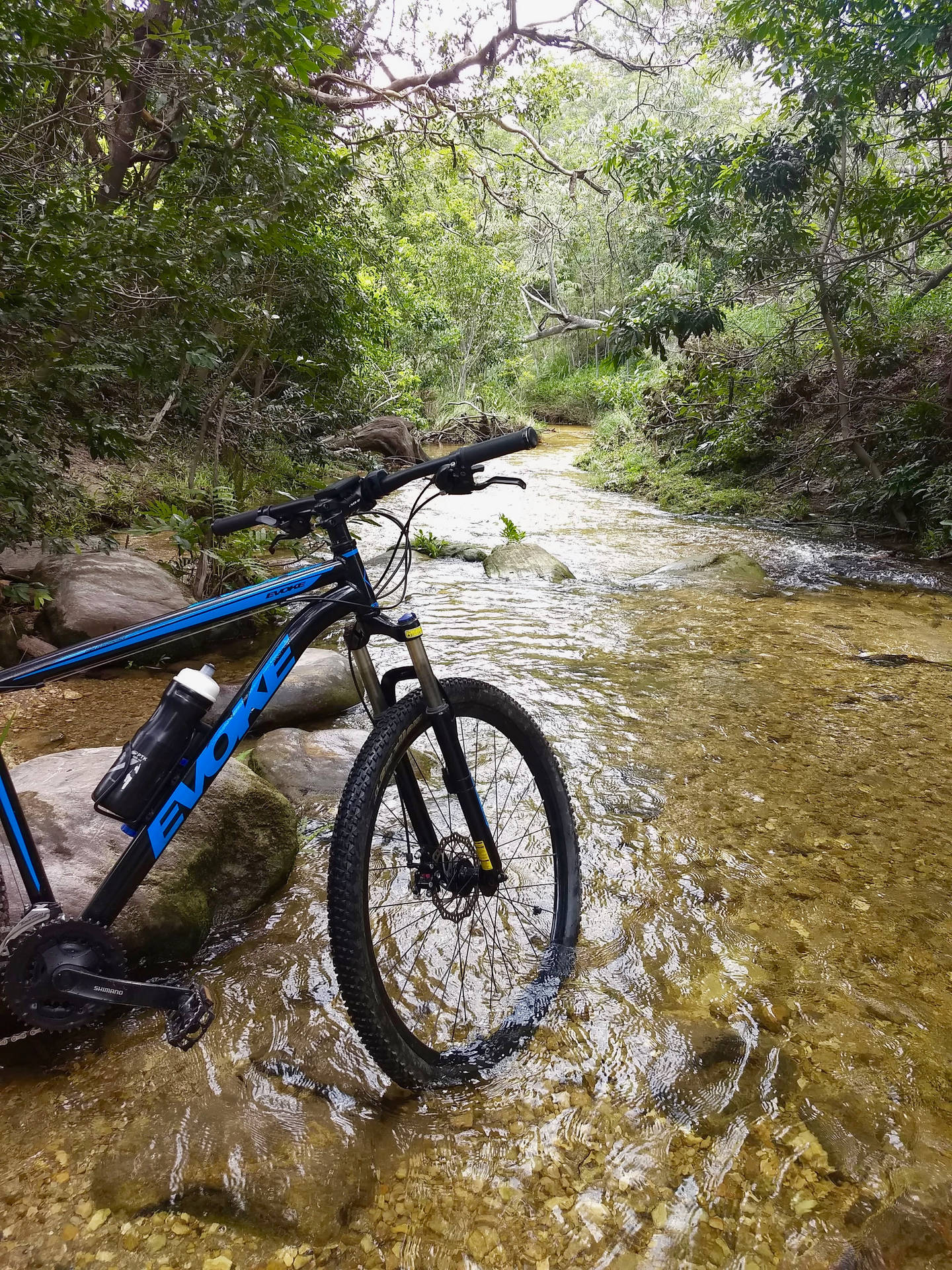 Mountain Bike 3024X4032 Wallpaper and Background Image