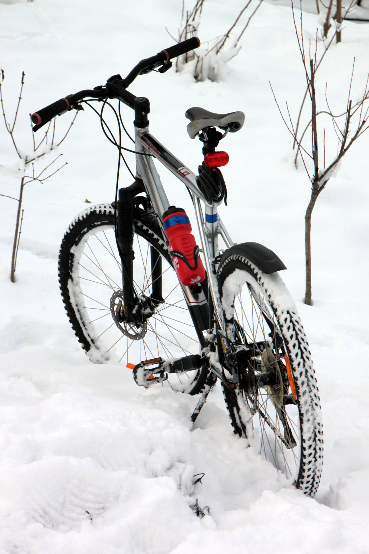 Mountain Bike 3168X4752 Wallpaper and Background Image