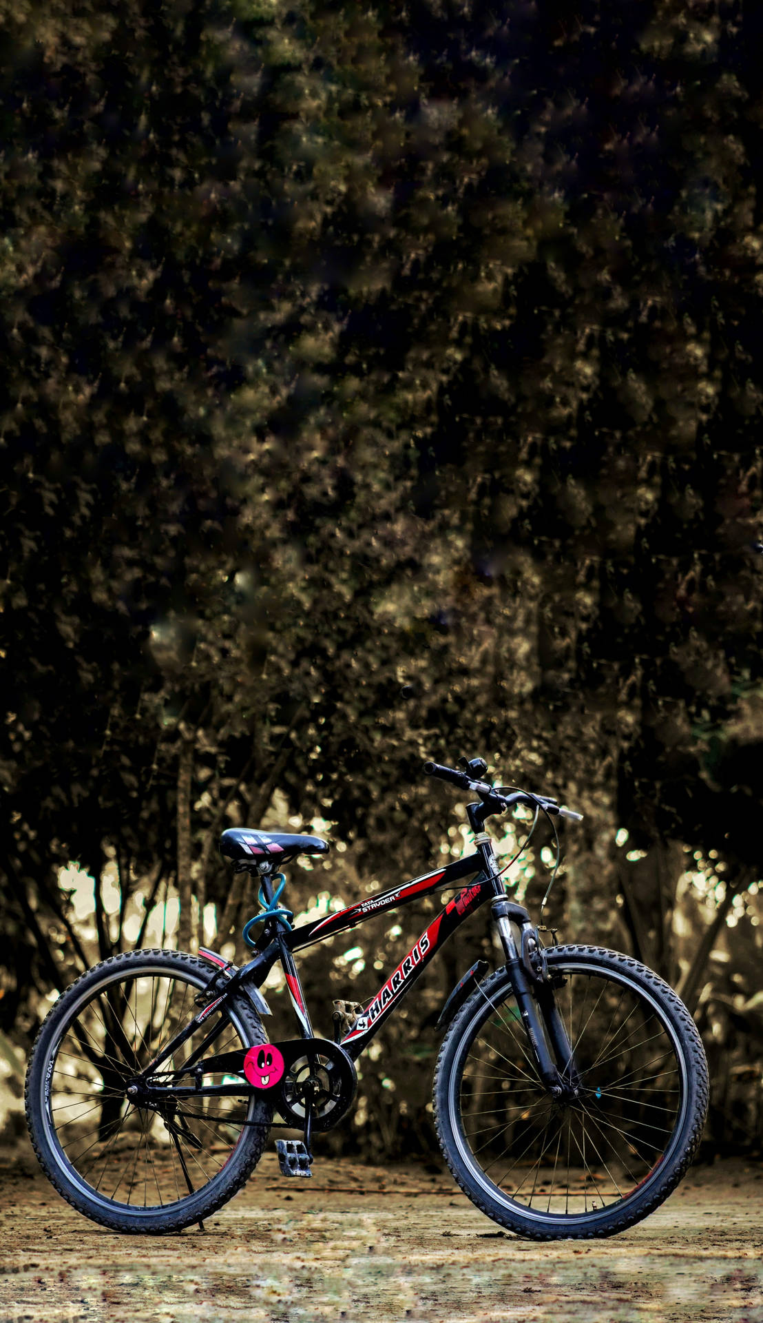 Mountain Bike 4085X7074 Wallpaper and Background Image