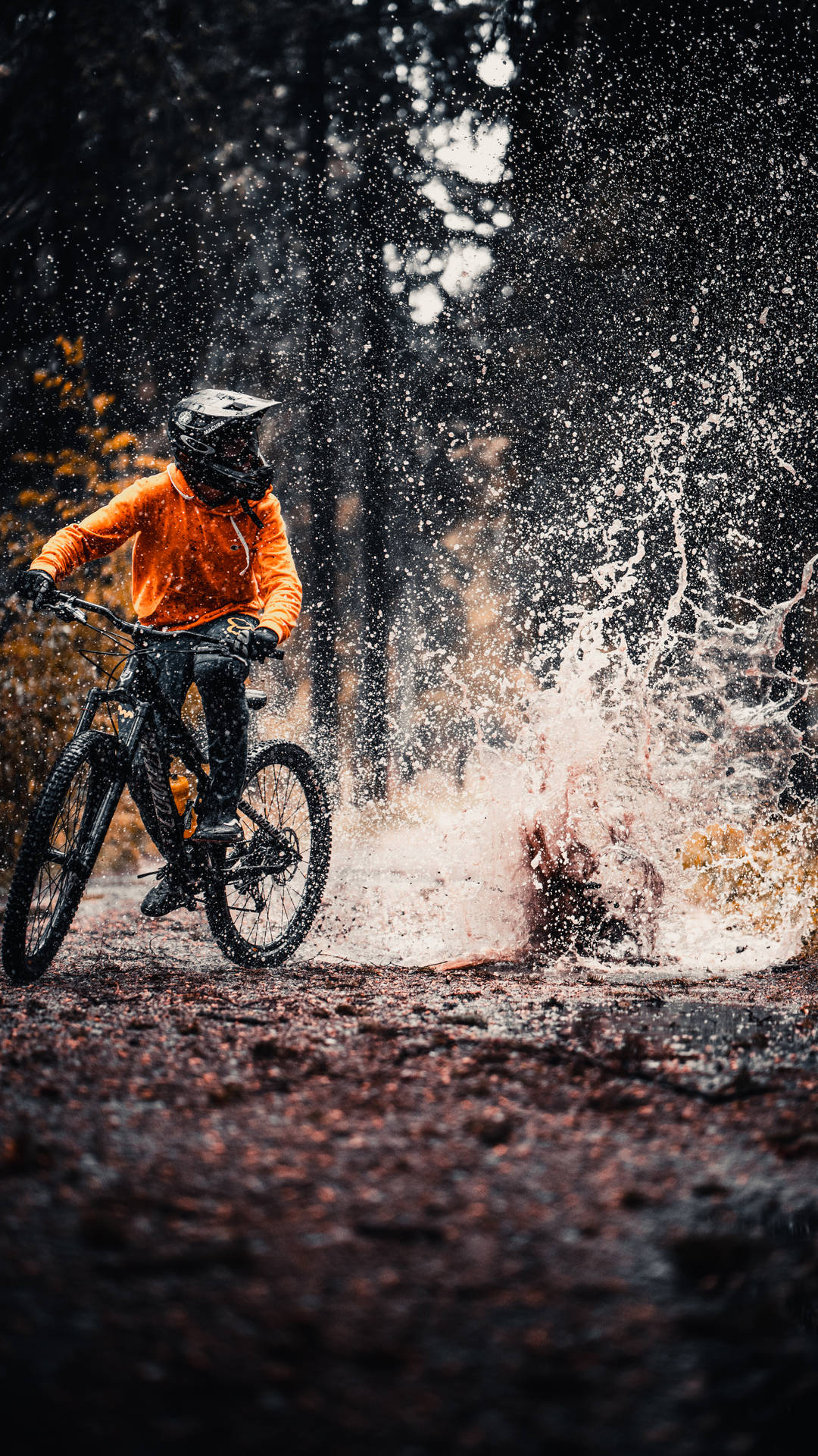 Mountain Bike 4473X7952 Wallpaper and Background Image