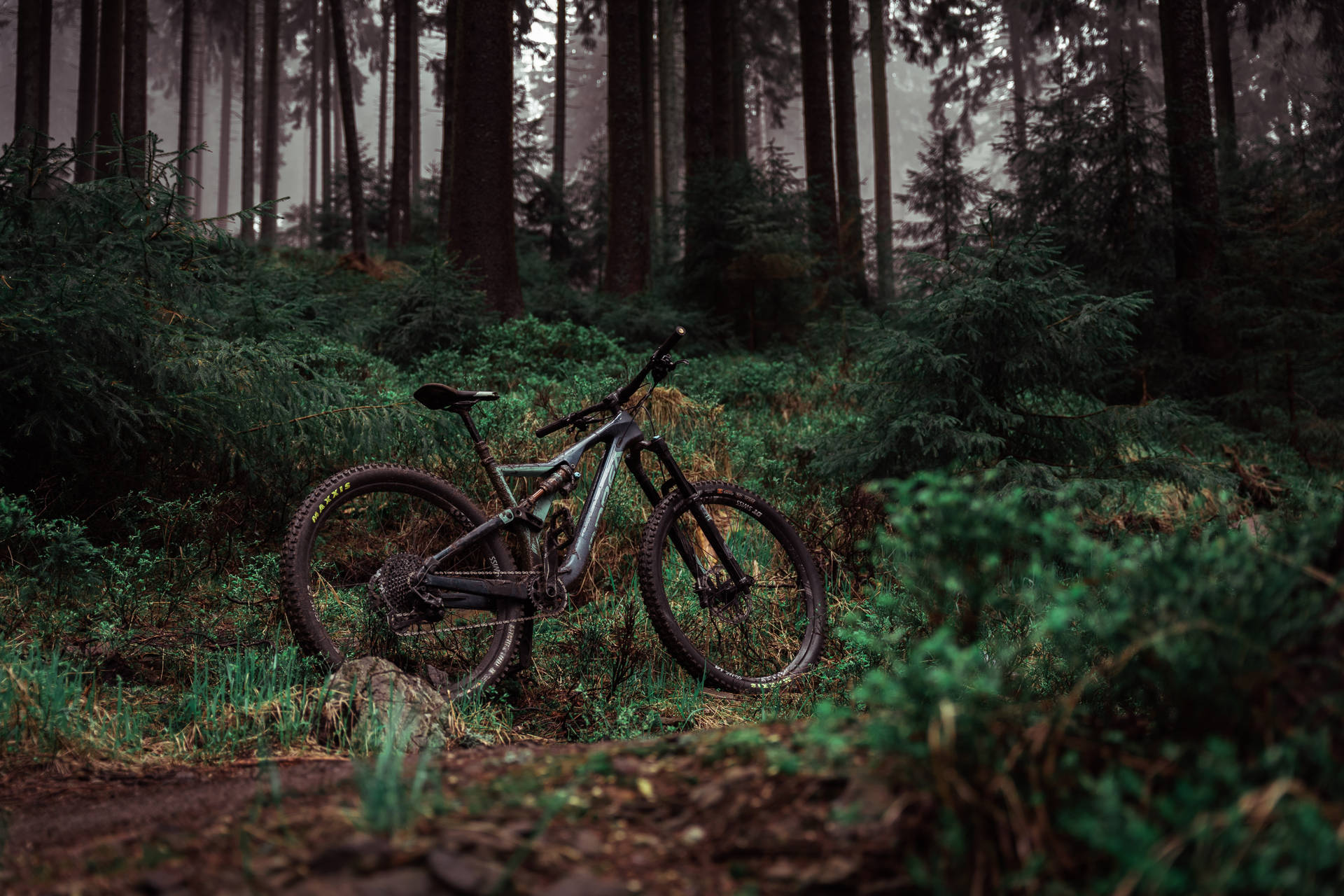 5836X3891 Mountain Bike Wallpaper and Background