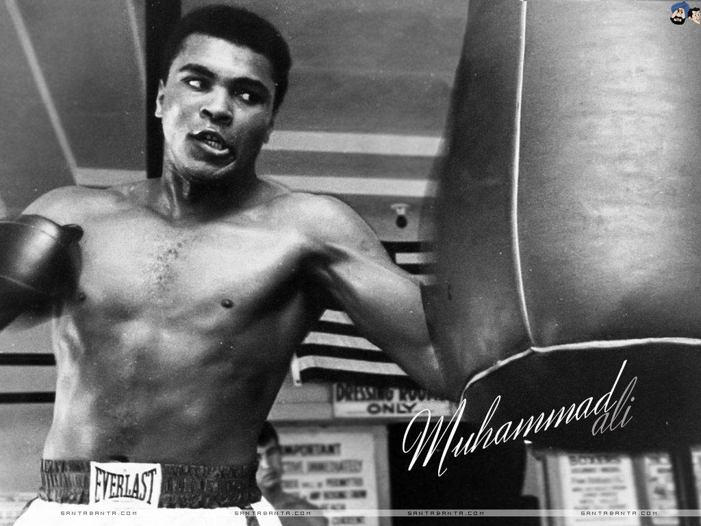 1024X768 Muhammad Ali Wallpaper and Background