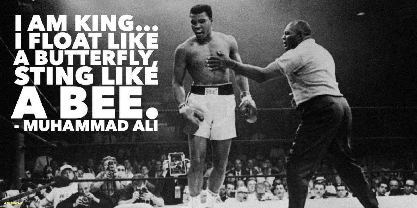1600X800 Muhammad Ali Wallpaper and Background