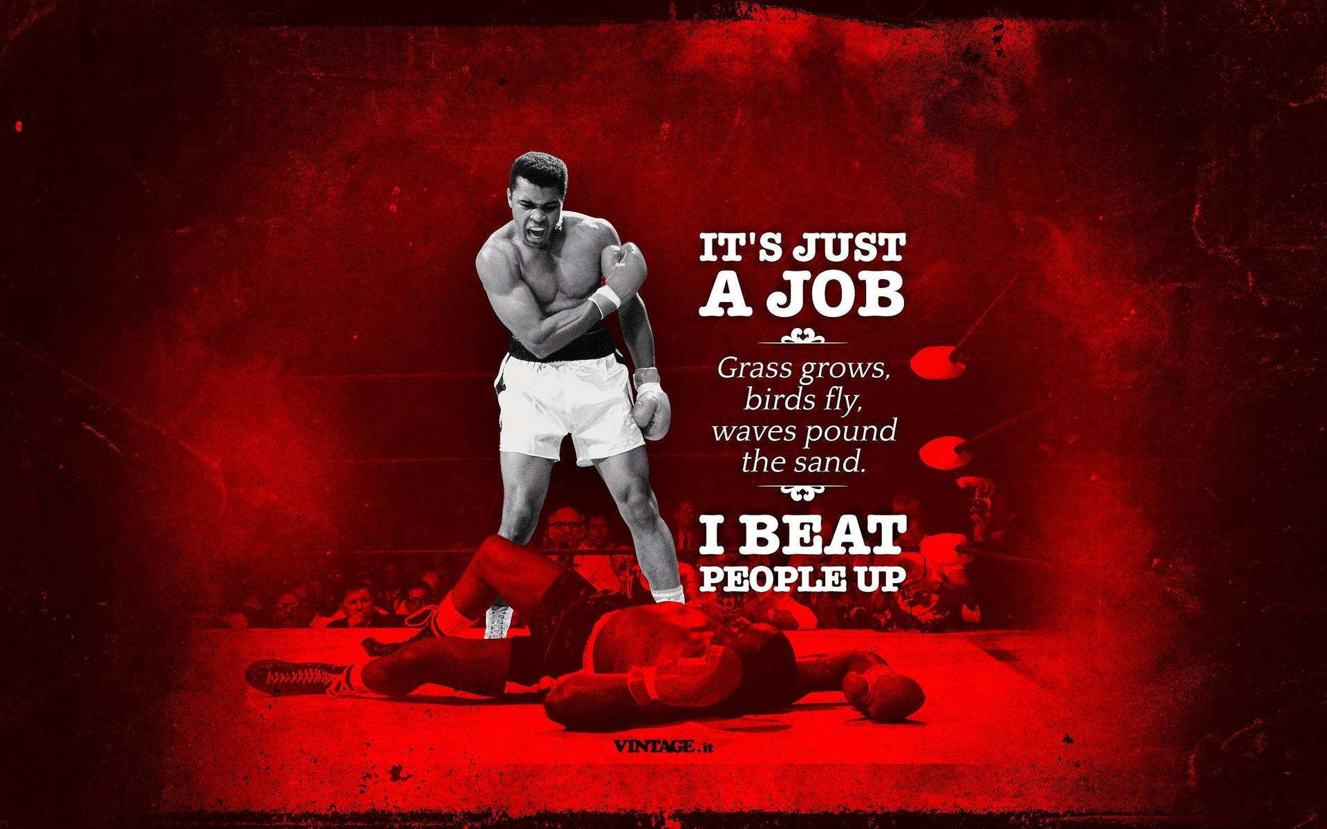 2560X1600 Muhammad Ali Wallpaper and Background
