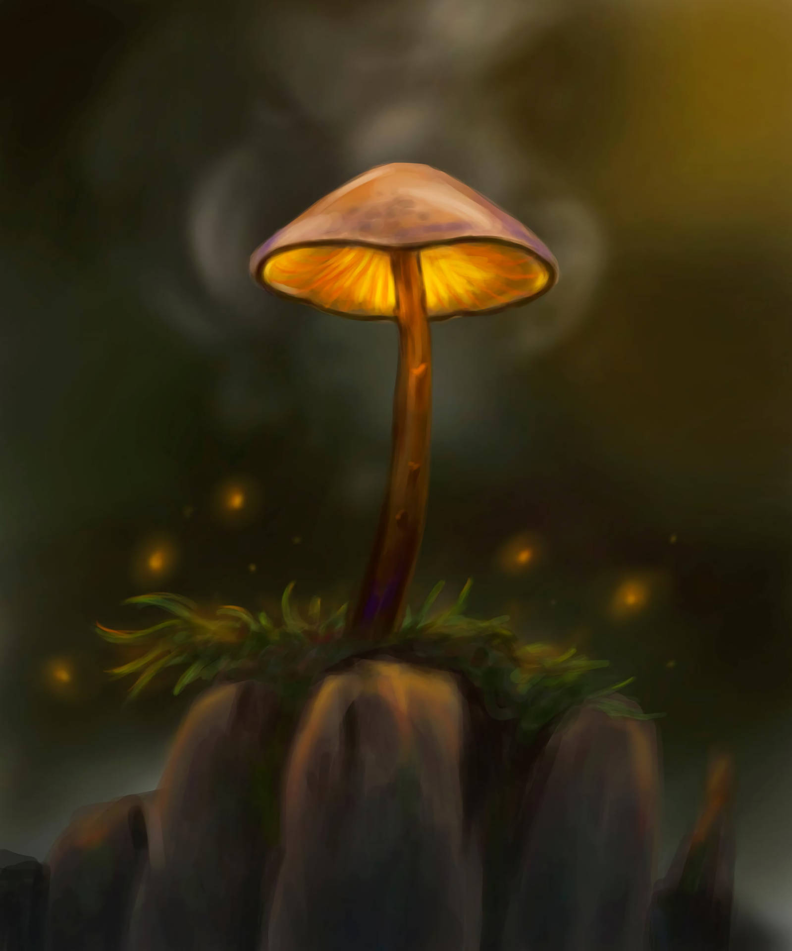 2560X3074 Mushroom Wallpaper and Background
