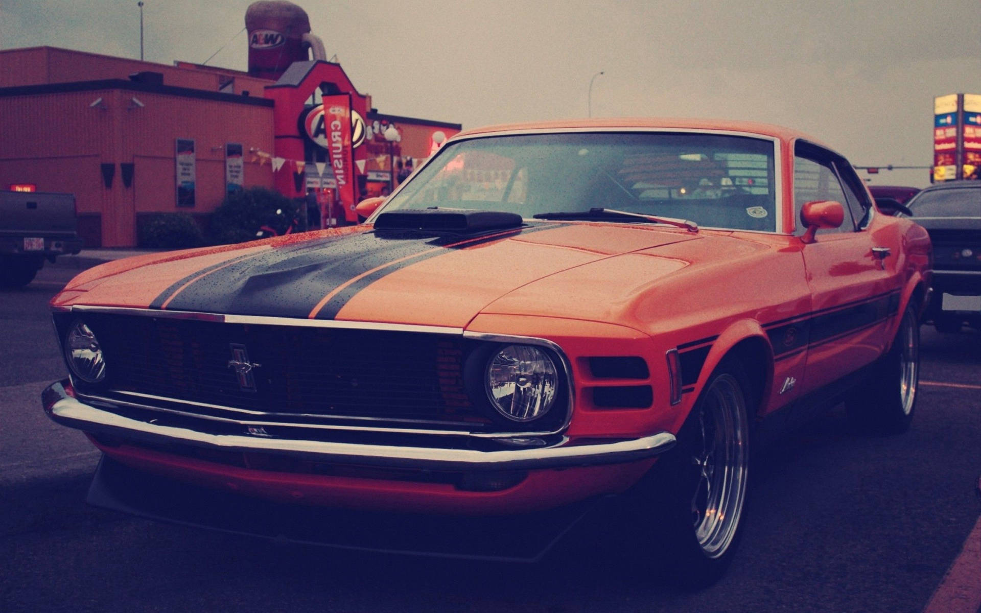 Mustang 2560X1600 Wallpaper and Background Image