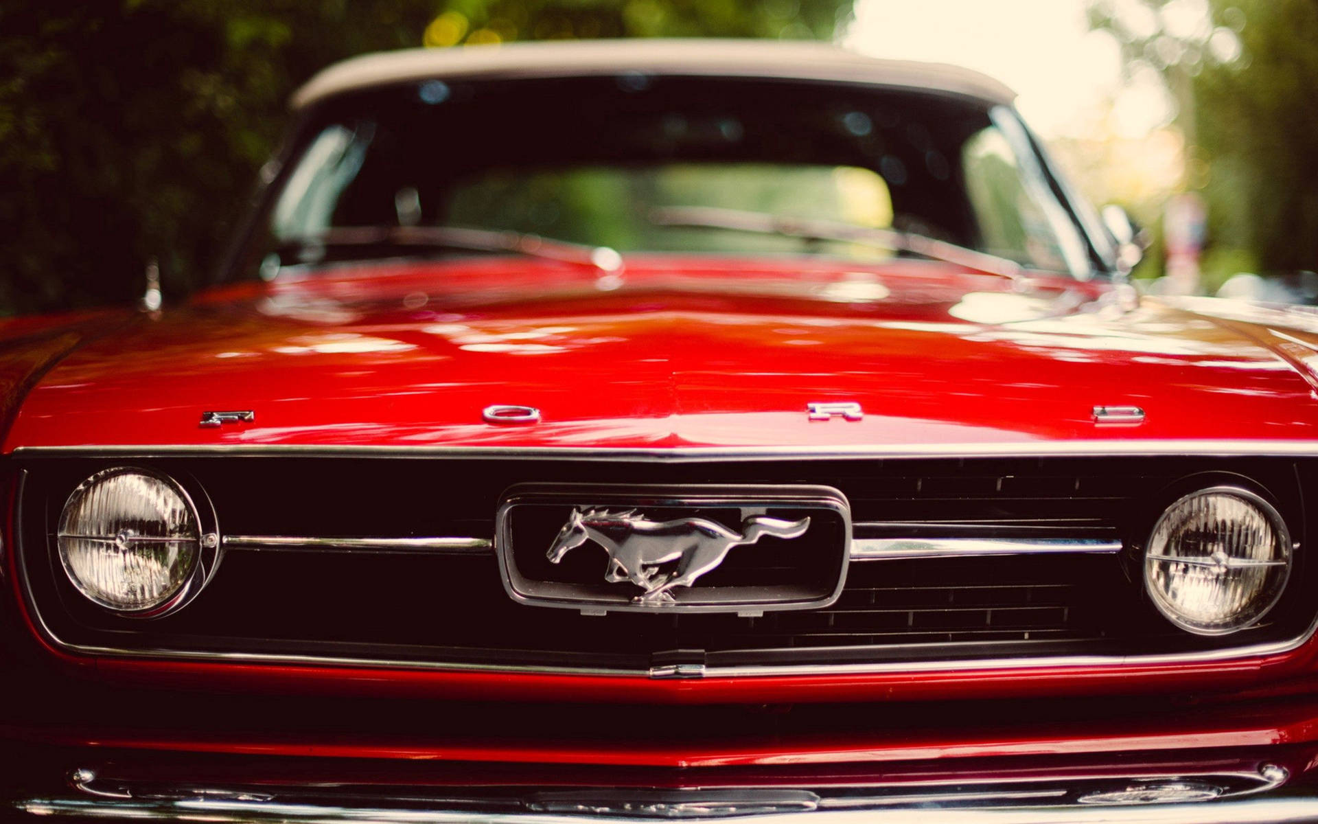 Mustang 2560X1600 Wallpaper and Background Image