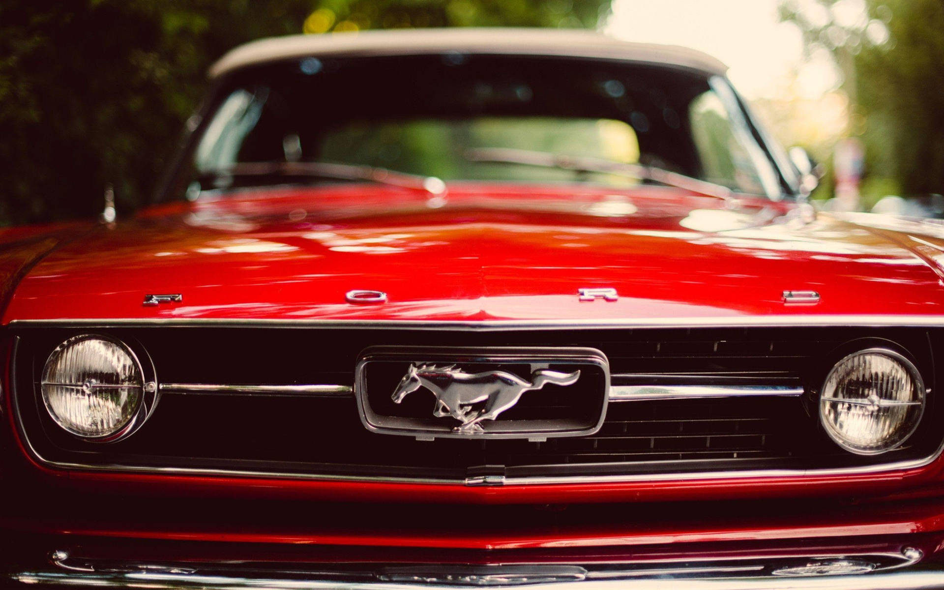2560X1600 Mustang Wallpaper and Background