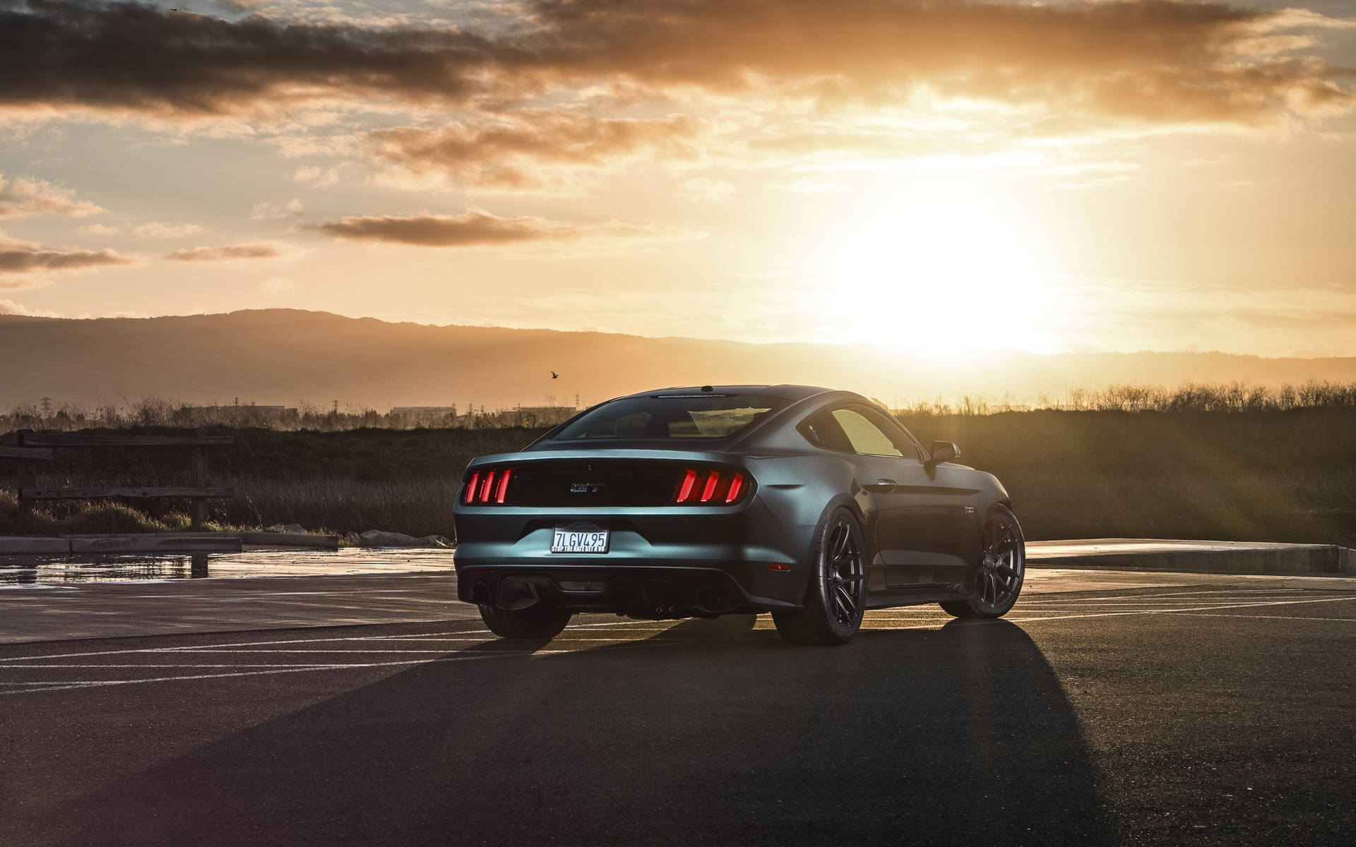 2880X1800 Mustang Wallpaper and Background