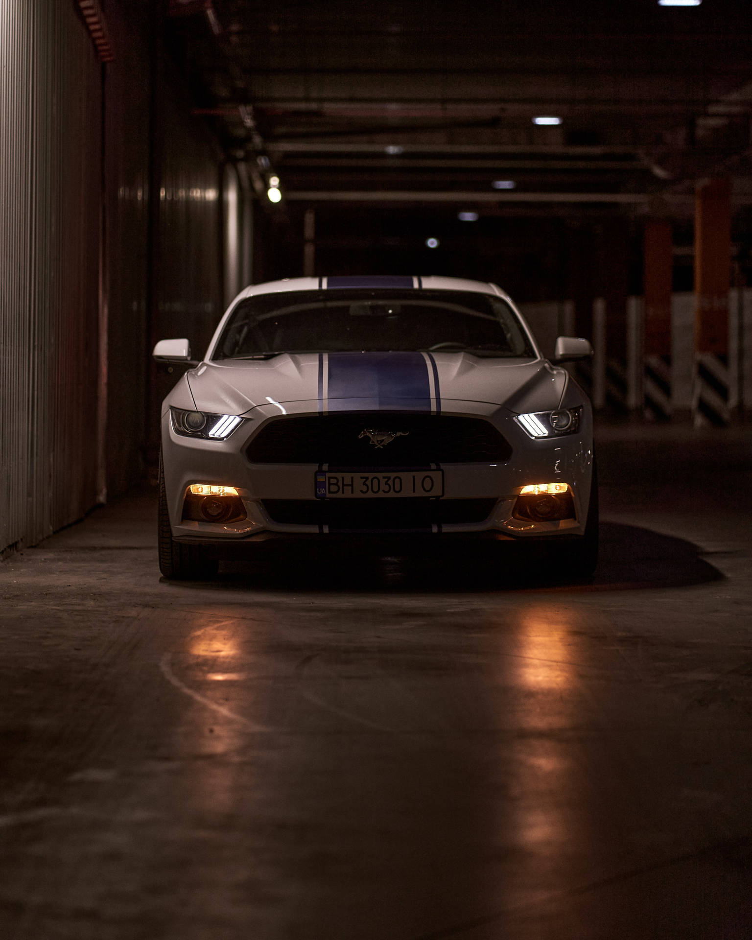 3663X4579 Mustang Wallpaper and Background