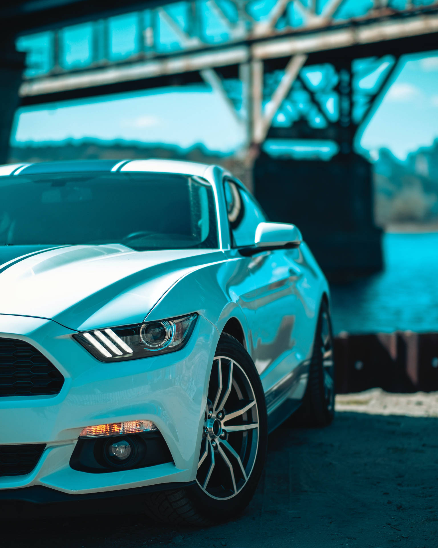 3961X4951 Mustang Wallpaper and Background