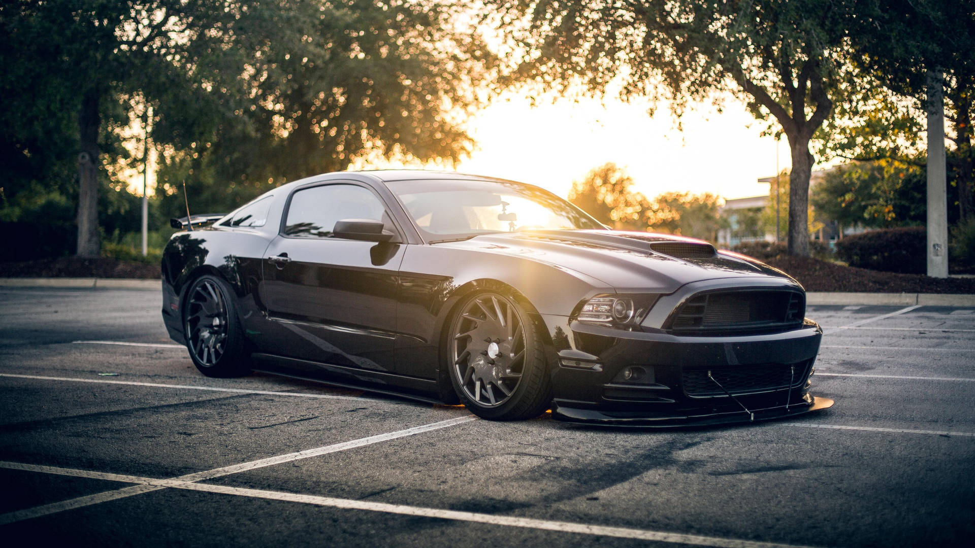 Mustang 4000X2250 Wallpaper and Background Image