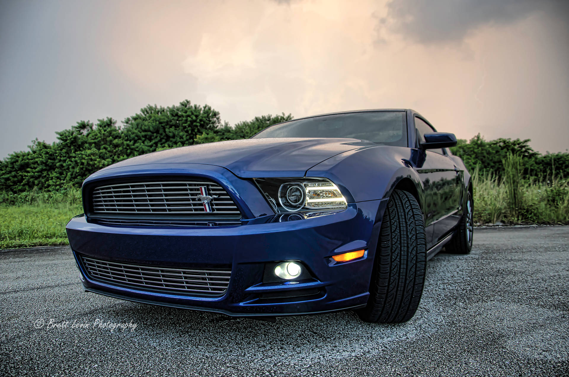 Mustang 4928X3264 Wallpaper and Background Image