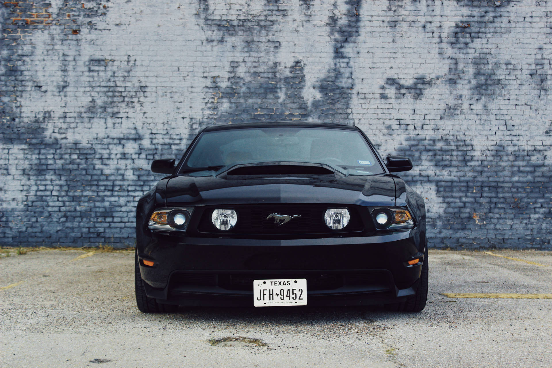 Mustang 5184X3456 Wallpaper and Background Image
