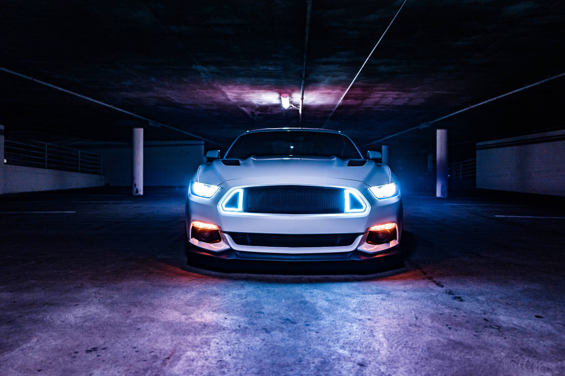 Mustang 6000X4000 Wallpaper and Background Image