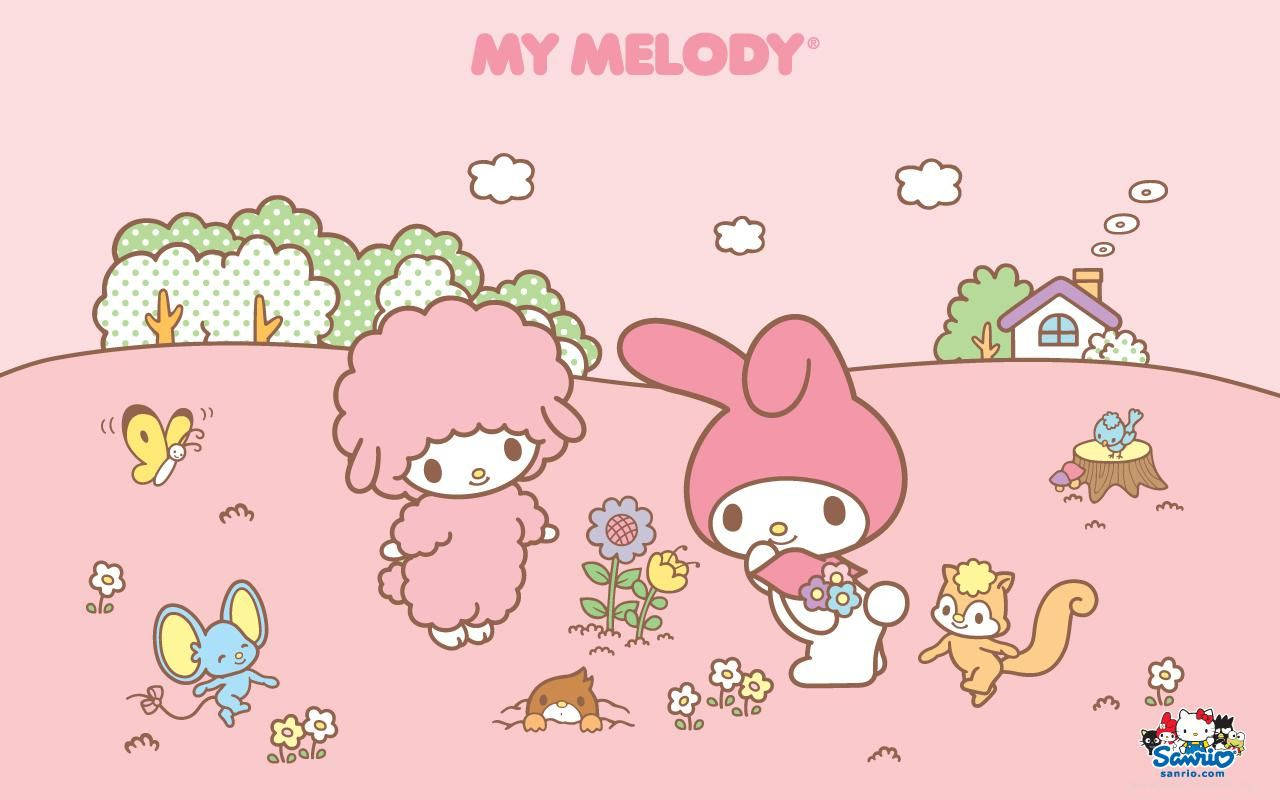 My Melody 1280X800 Wallpaper and Background Image