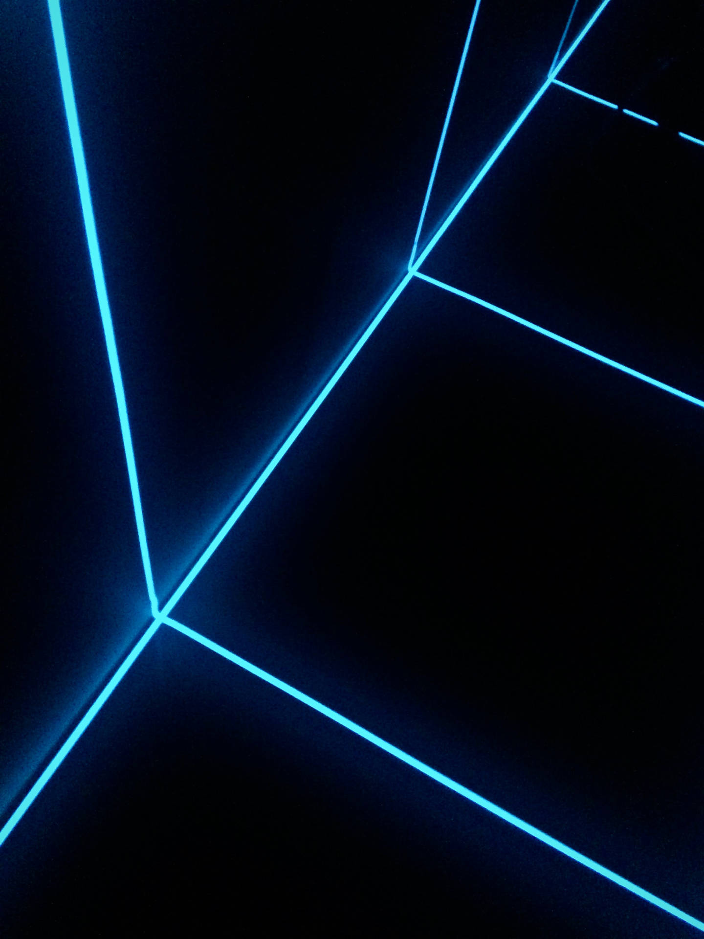 2448X3264 Neon Wallpaper and Background