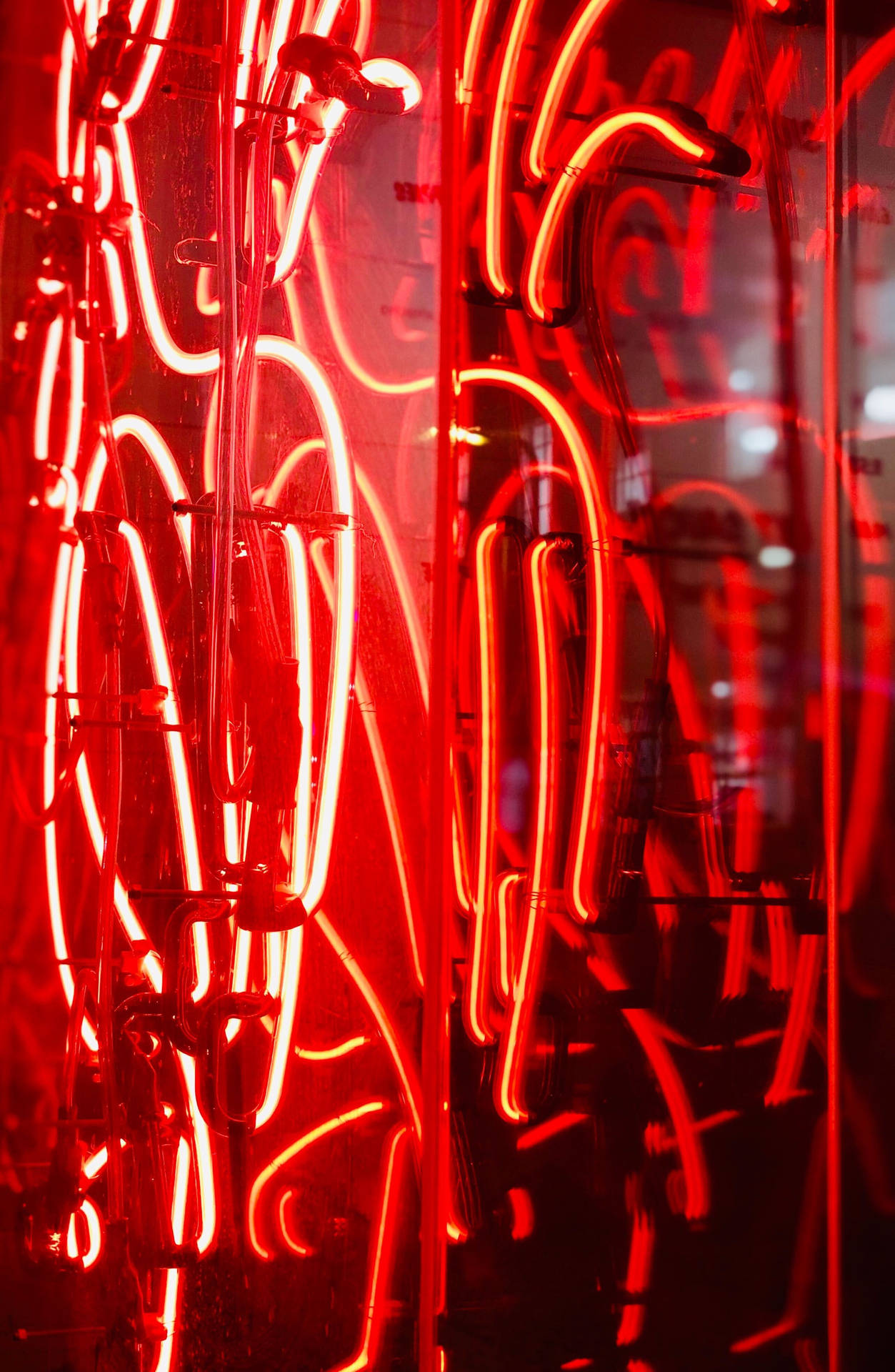 Neon 2568X3935 Wallpaper and Background Image
