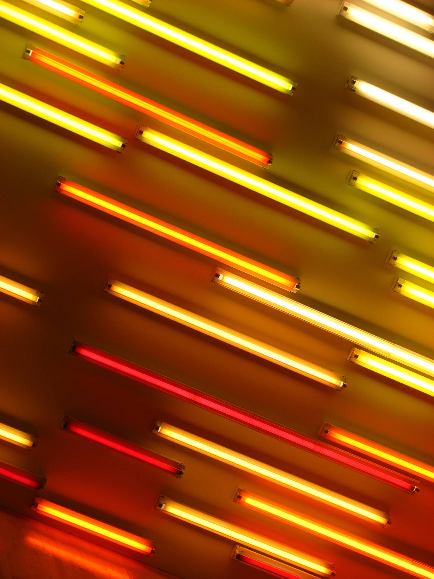 Neon 2736X3648 Wallpaper and Background Image