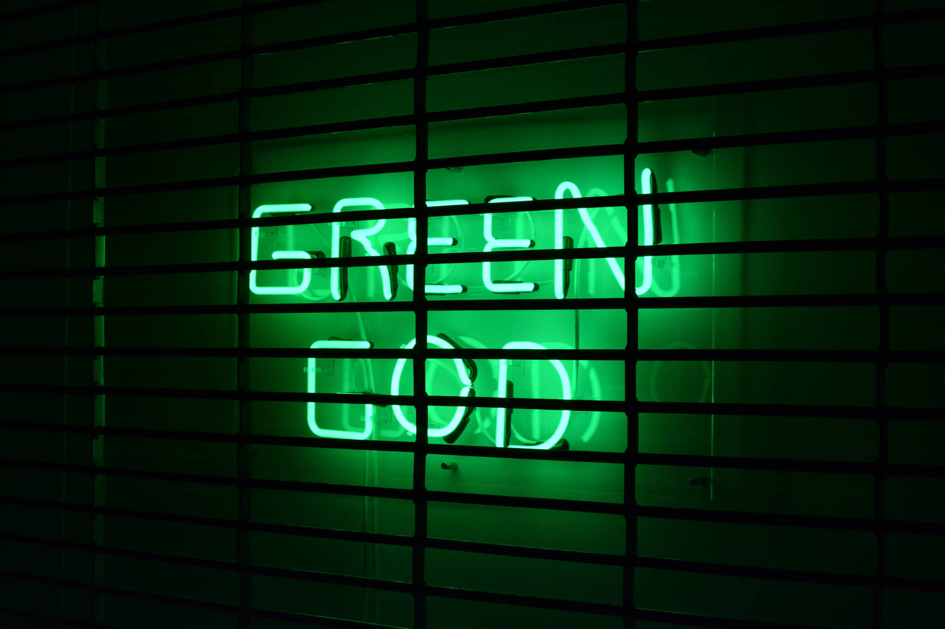 Neon Green 6004X4000 Wallpaper and Background Image