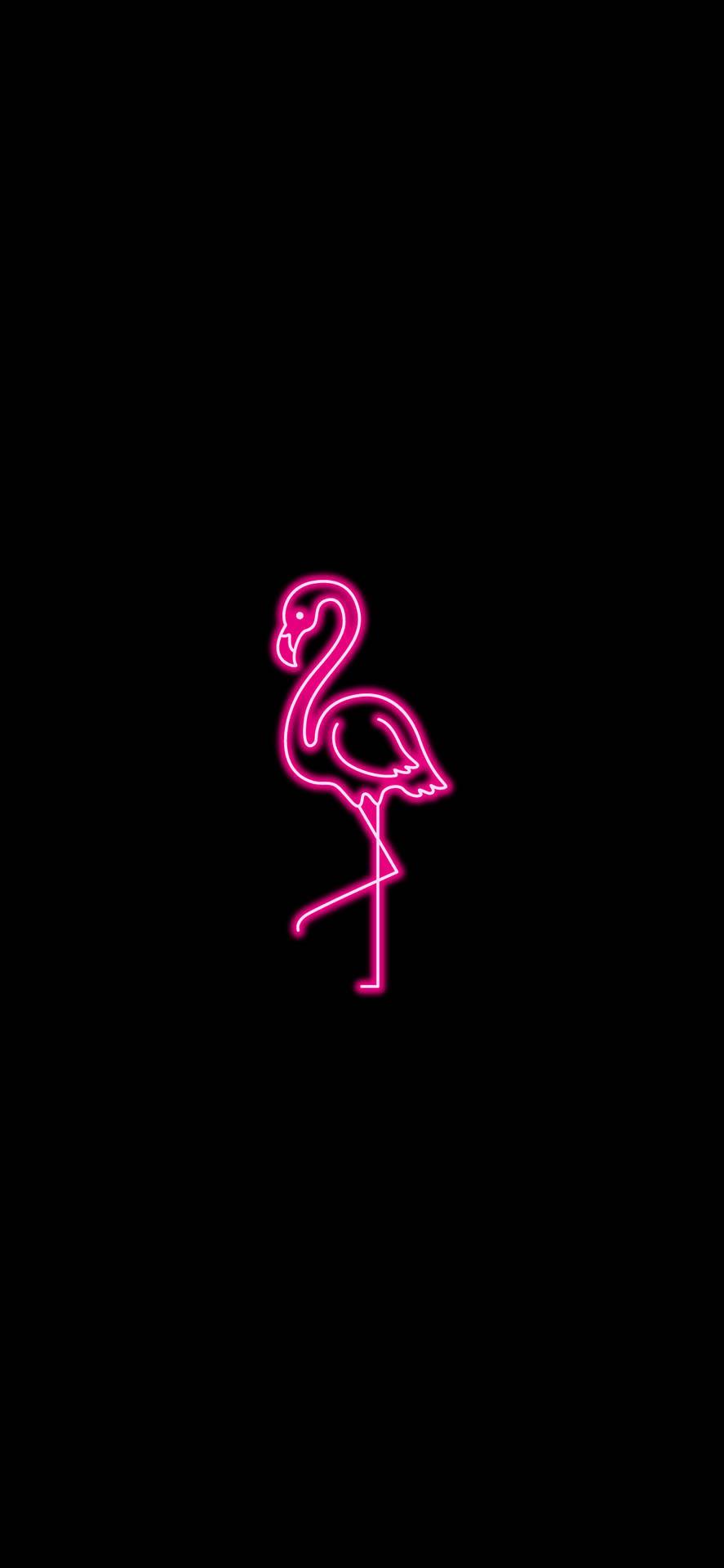 Neon Pink Aesthetic 1205X2609 Wallpaper and Background Image