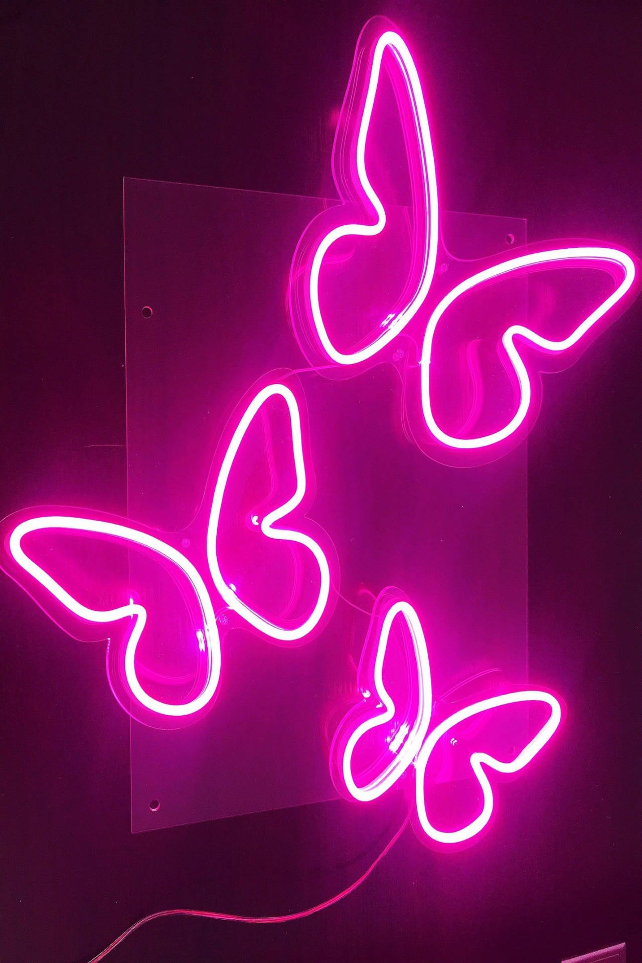Neon Pink Aesthetic 1440X2160 Wallpaper and Background Image