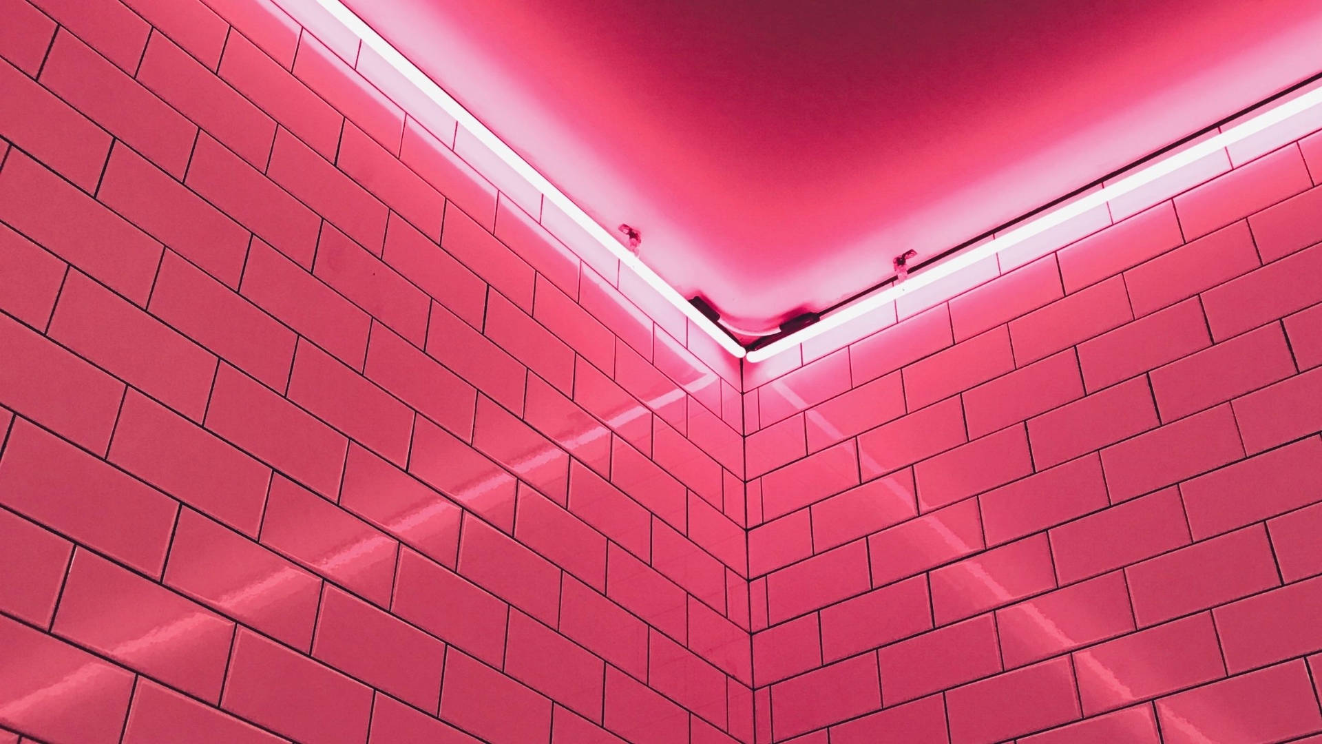 2560X1440 Neon Pink Aesthetic Wallpaper and Background