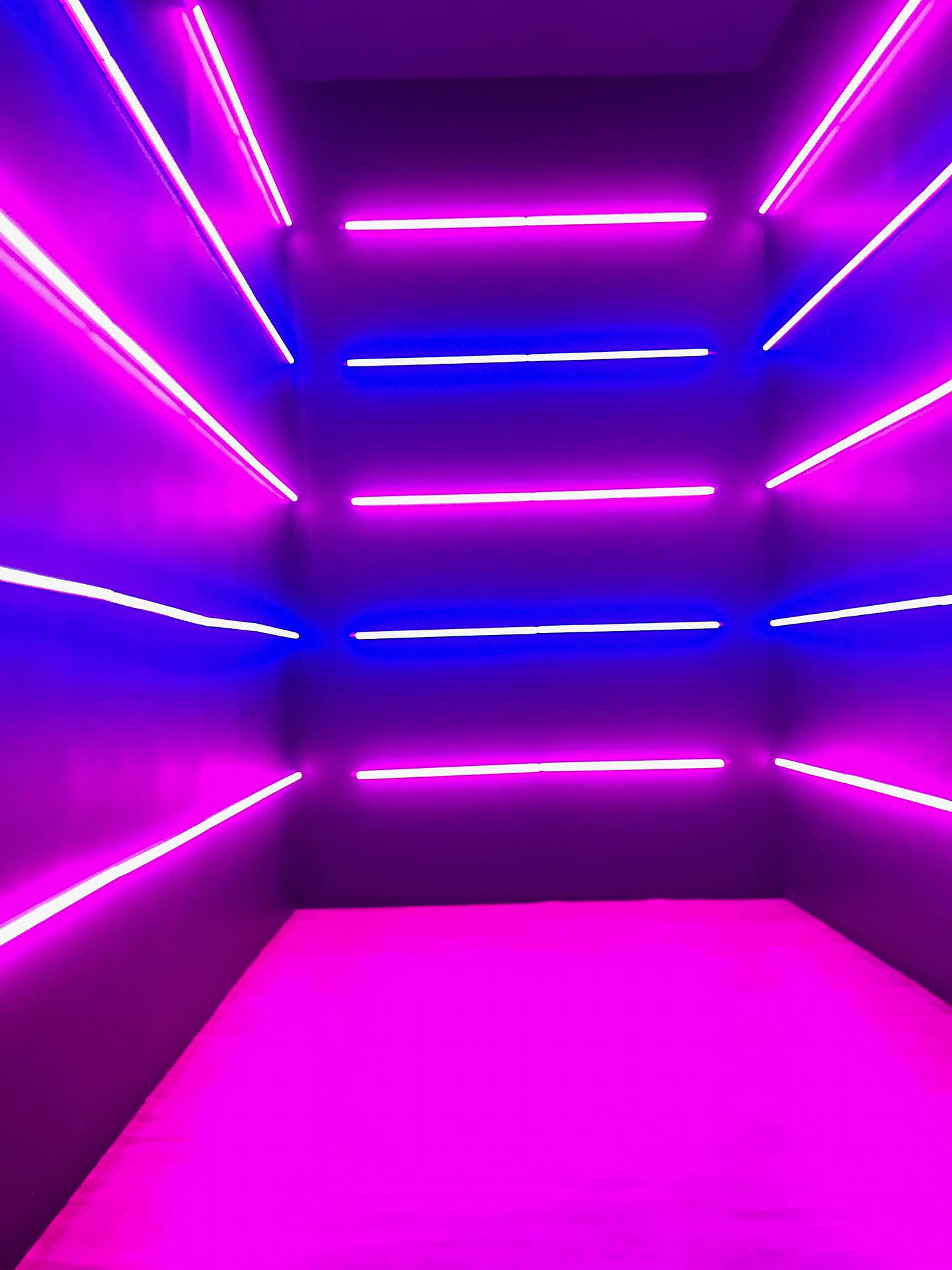 Neon Purple 2448X3264 Wallpaper and Background Image