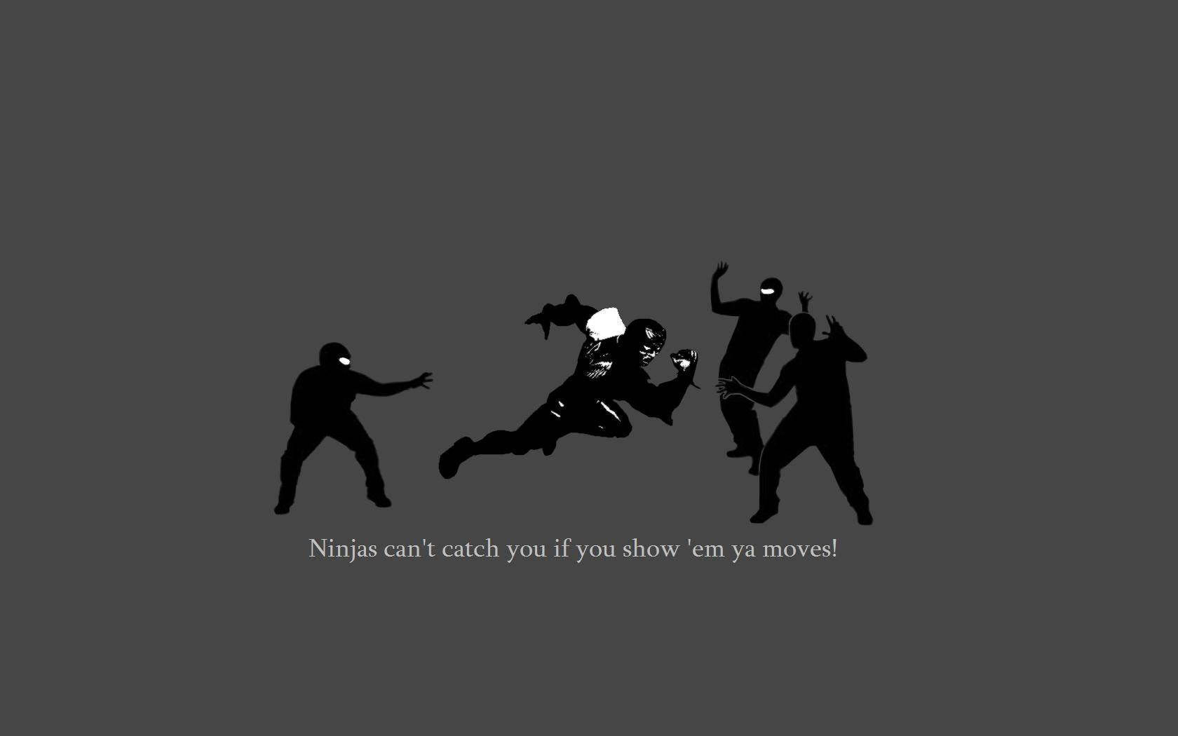 Ninja 1680X1050 Wallpaper and Background Image