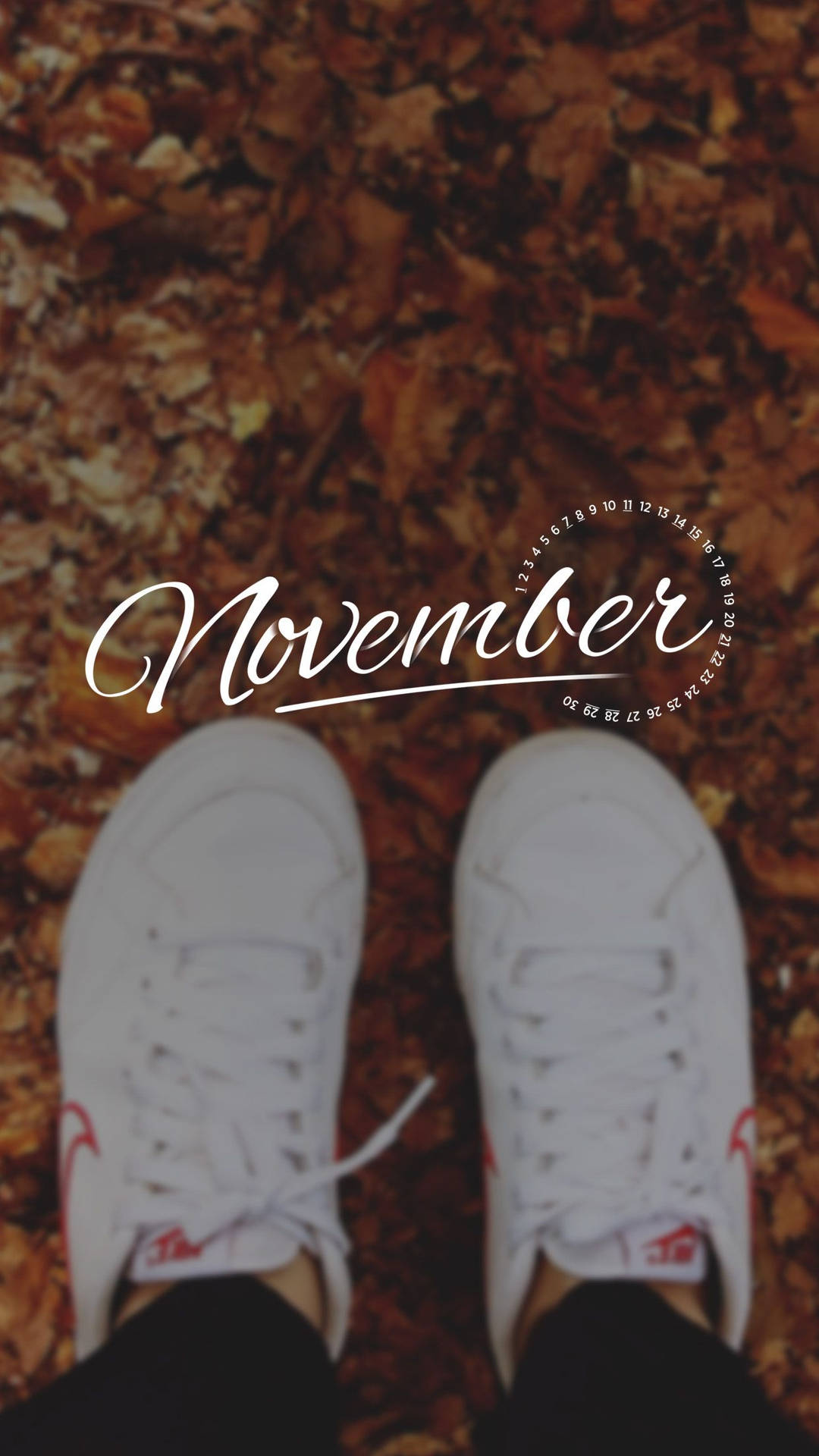 November 1242X2208 Wallpaper and Background Image