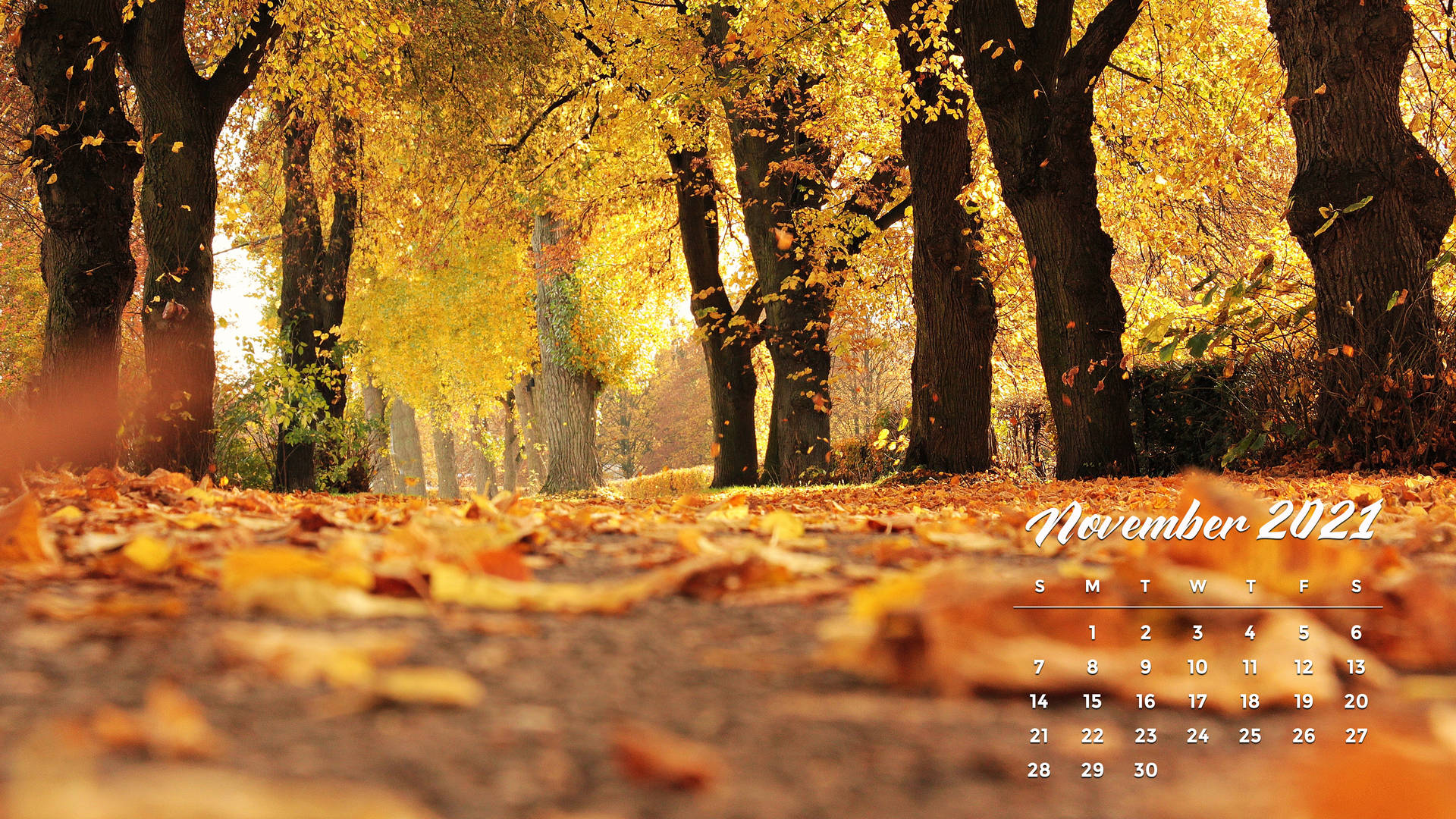 November 3840X2160 Wallpaper and Background Image