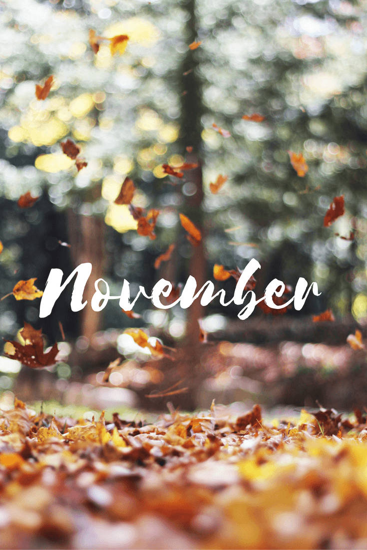 November 735X1102 Wallpaper and Background Image