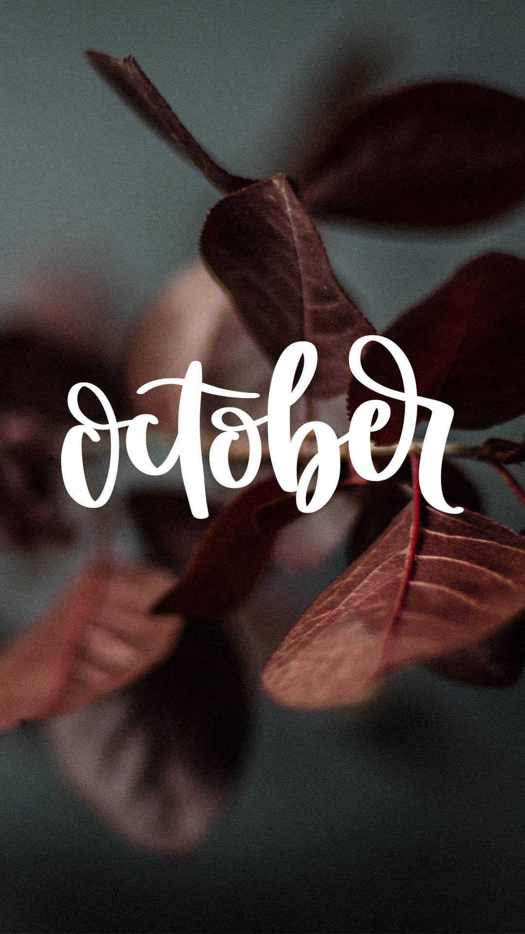 October 1080X1920 Wallpaper and Background Image