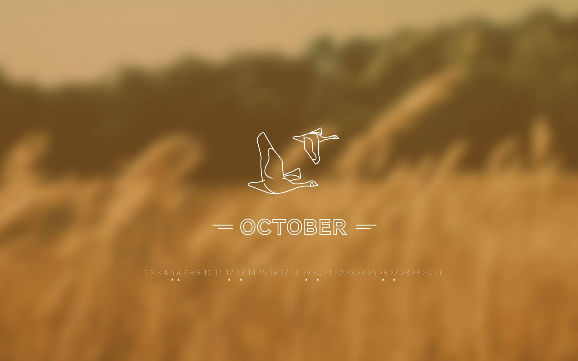 2880X1800 October Wallpaper and Background