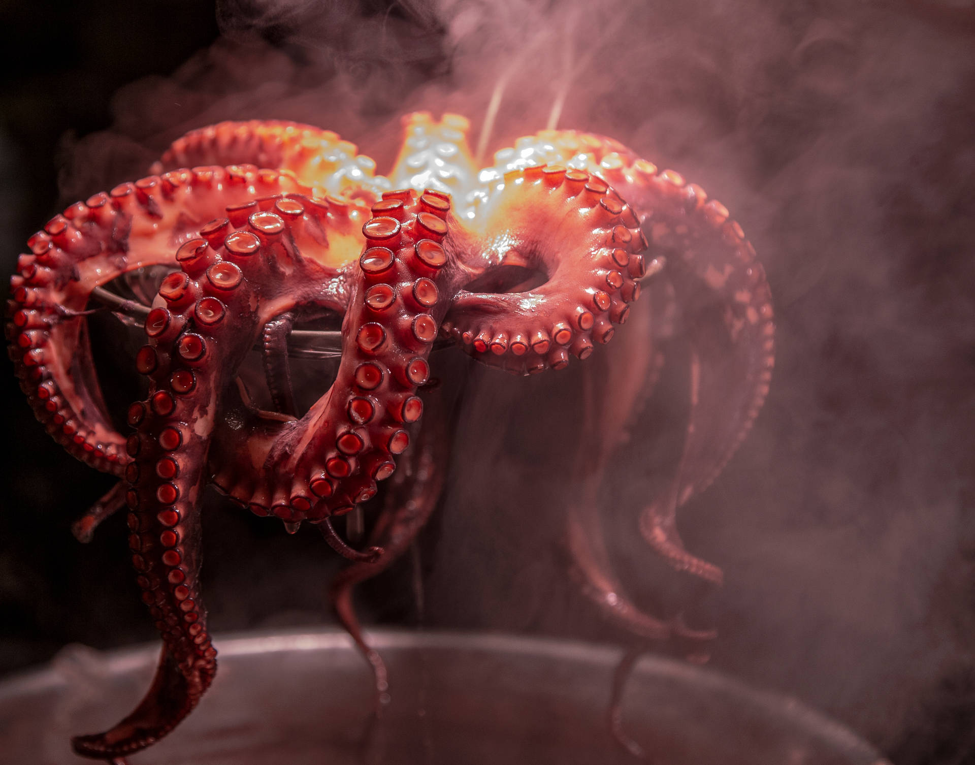 3414X2678 Octopus Wallpaper and Background