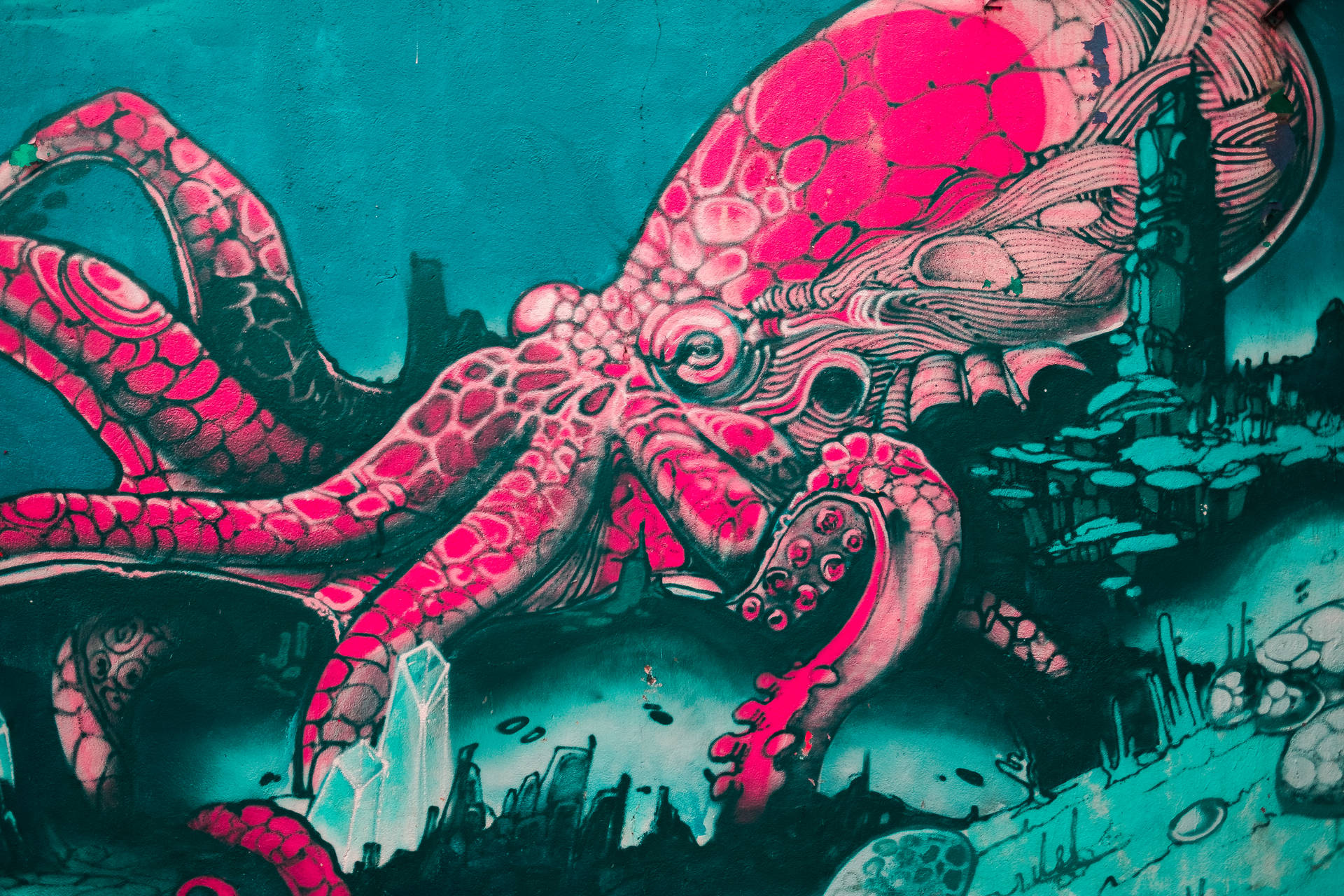 6000X4000 Octopus Wallpaper and Background