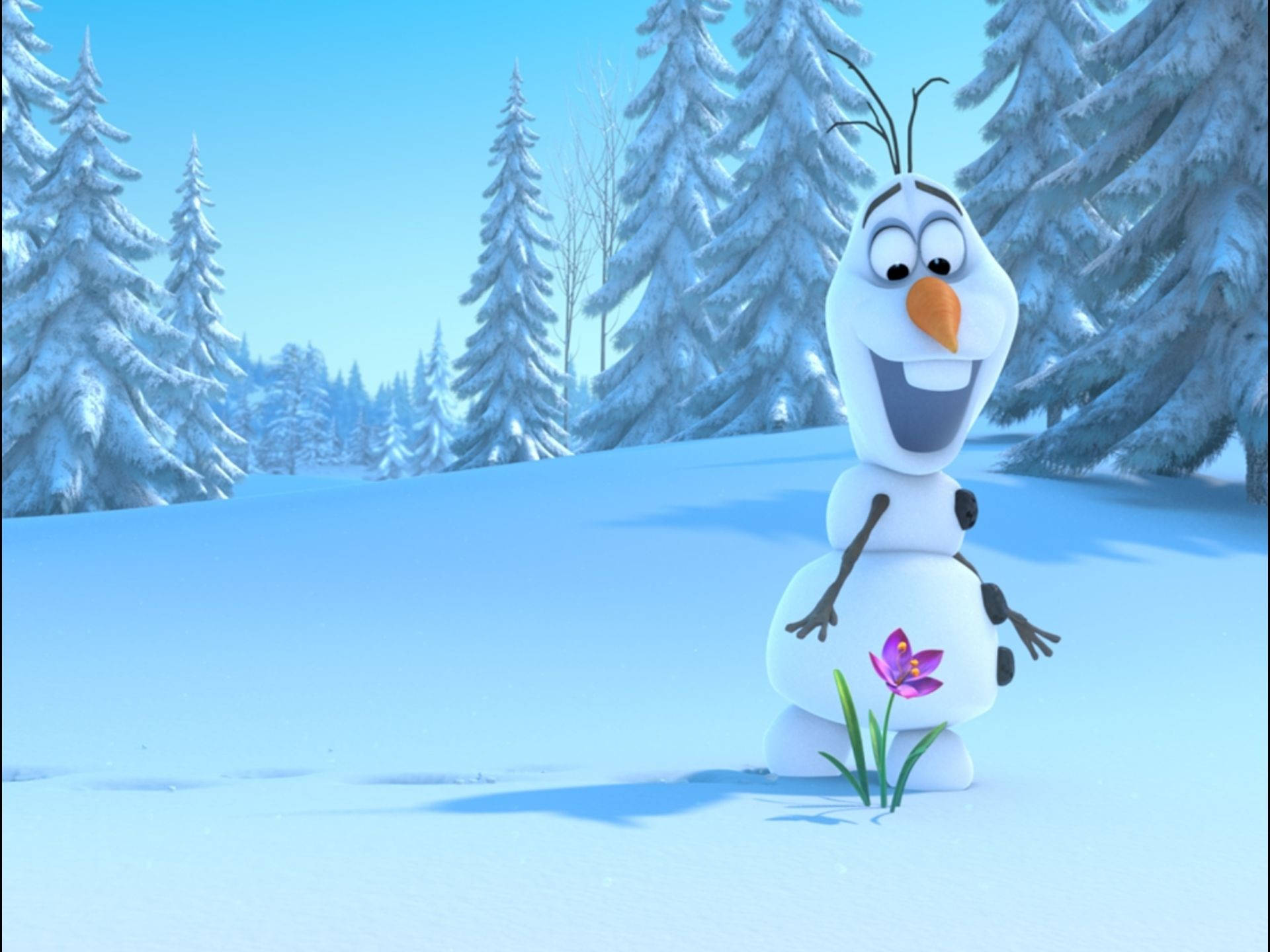 1920X1440 Olaf Wallpaper and Background