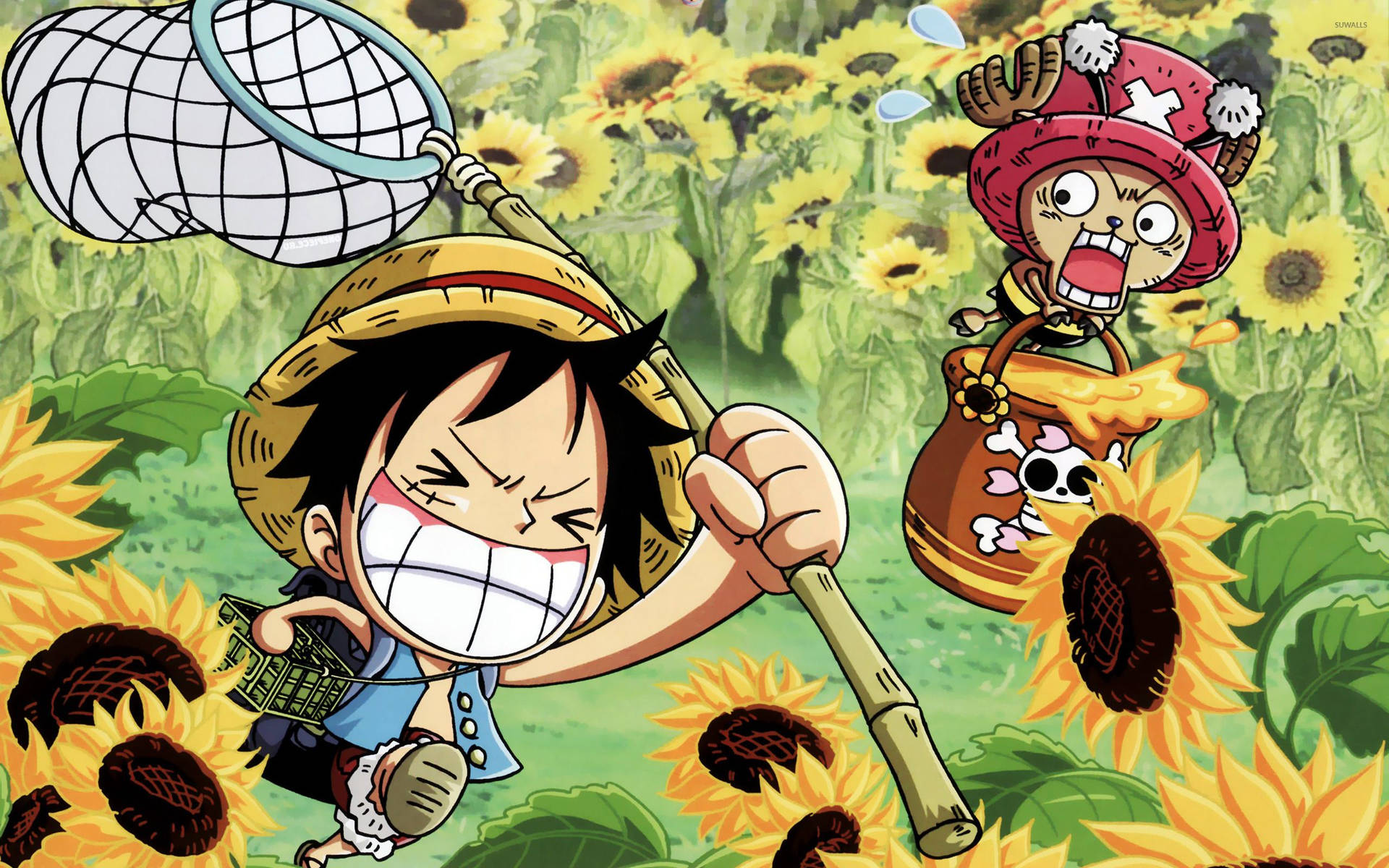 One Piece 2560X1600 Wallpaper and Background Image
