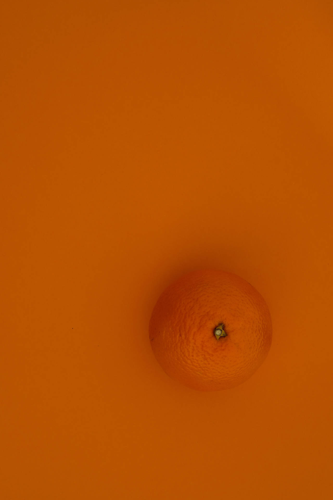 Orange 3667X5500 Wallpaper and Background Image