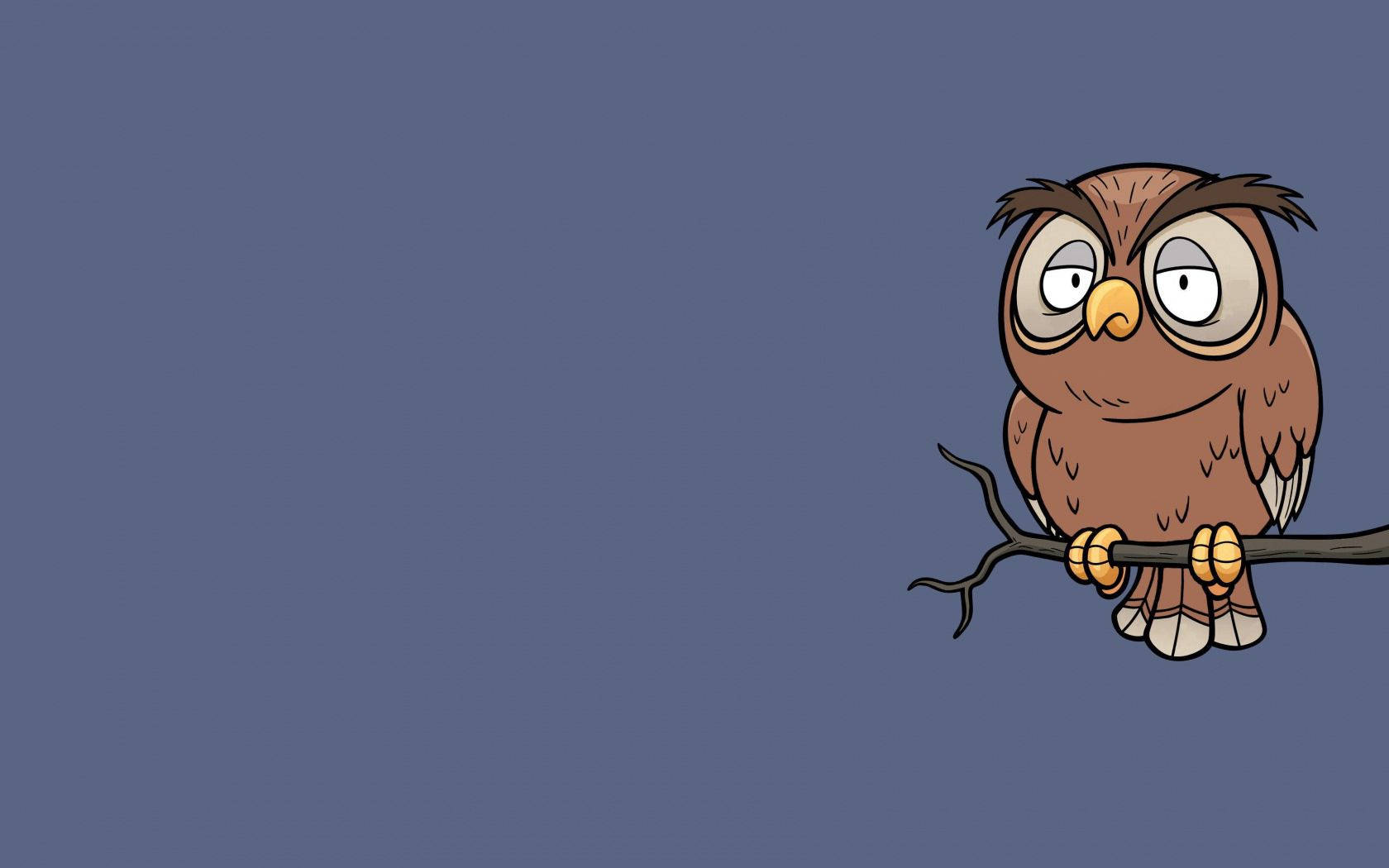 Owl 1680X1050 Wallpaper and Background Image