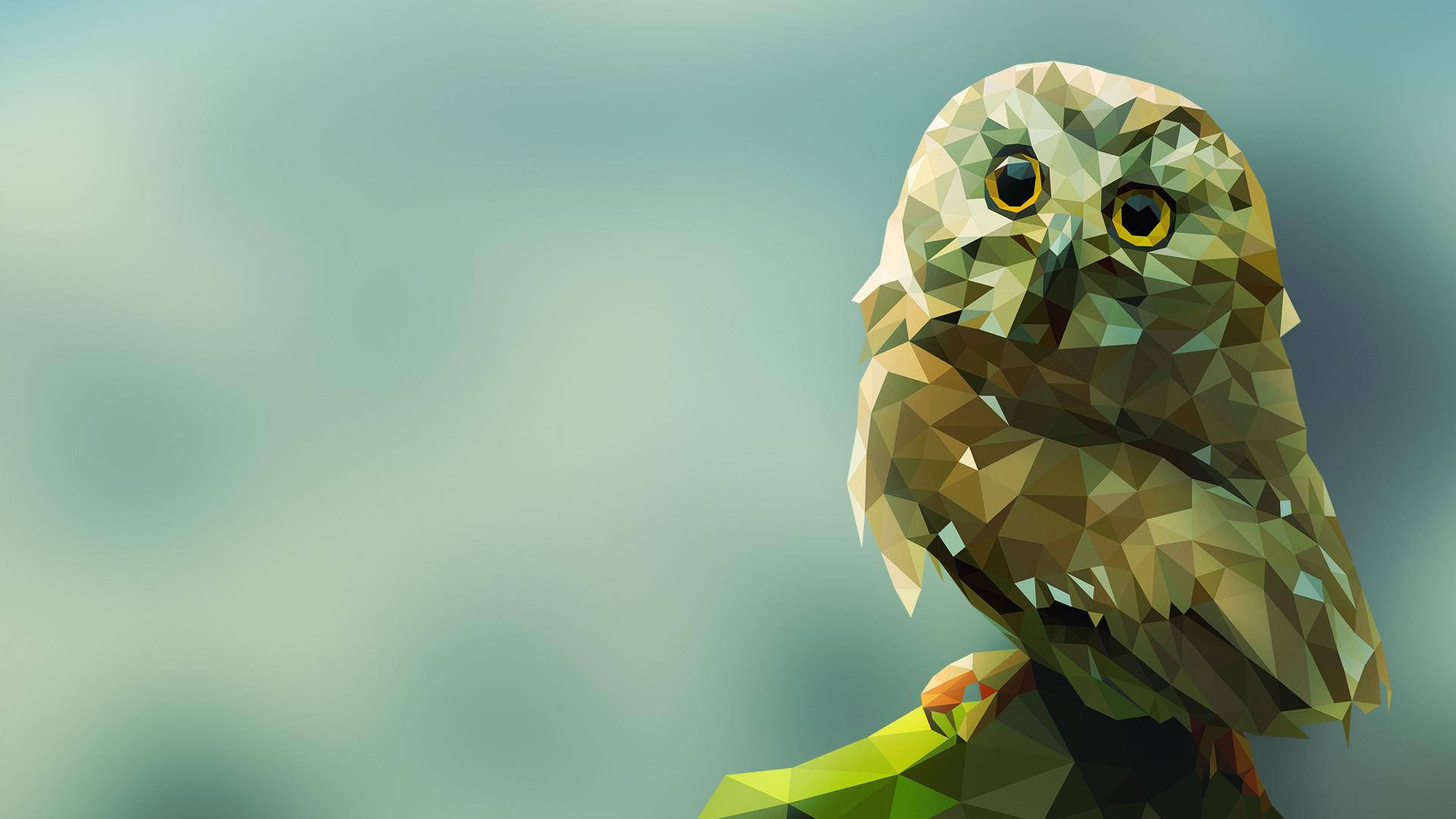 Owl 1920X1080 Wallpaper and Background Image