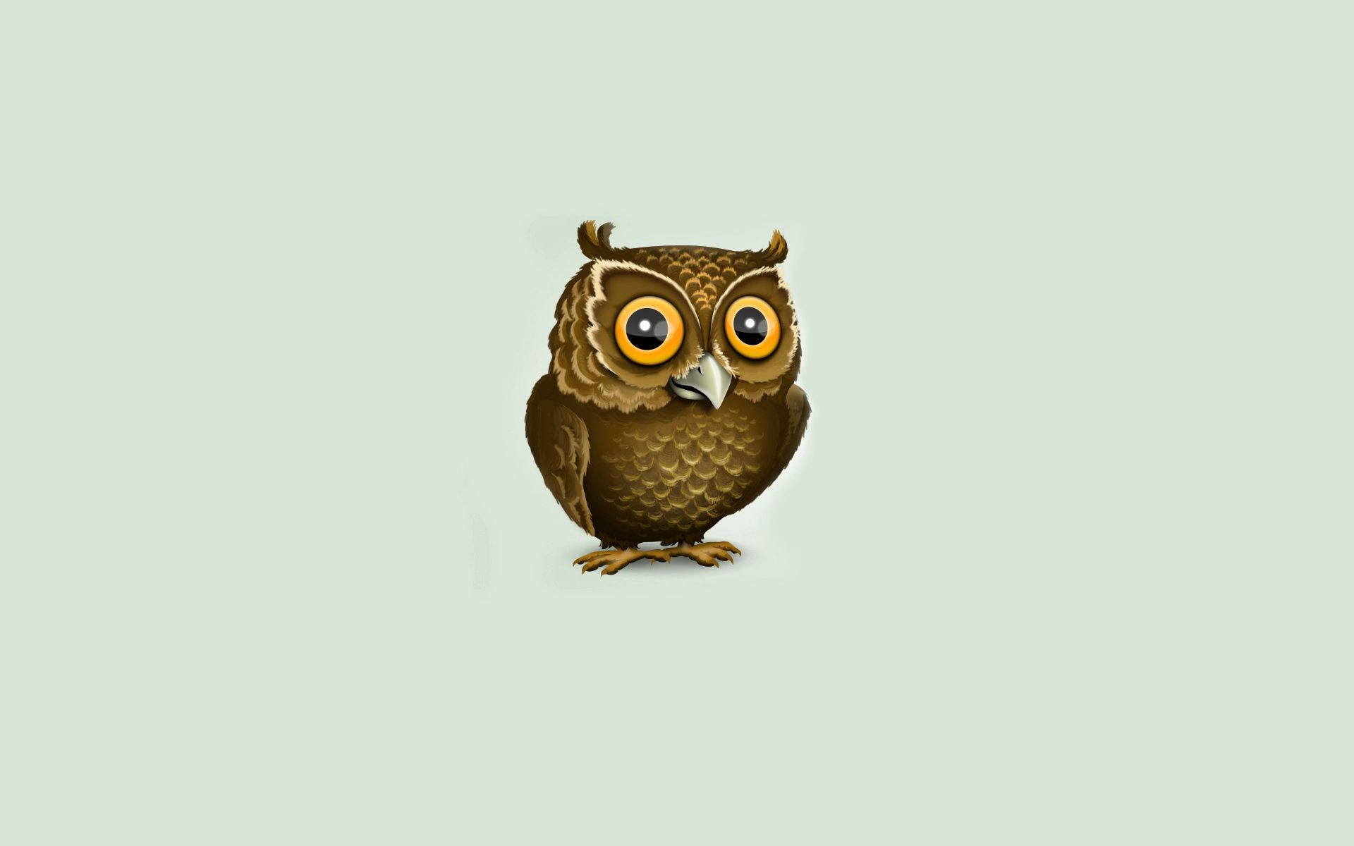 Owl 1920X1200 Wallpaper and Background Image