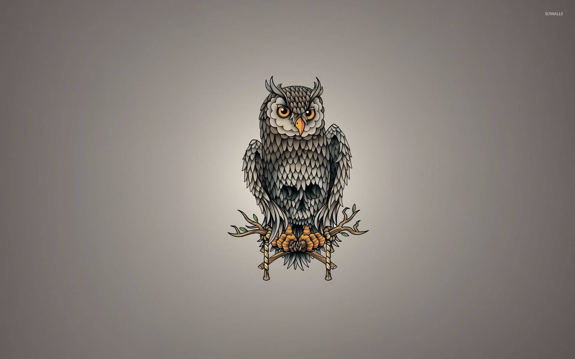 Owl 1920X1200 Wallpaper and Background Image