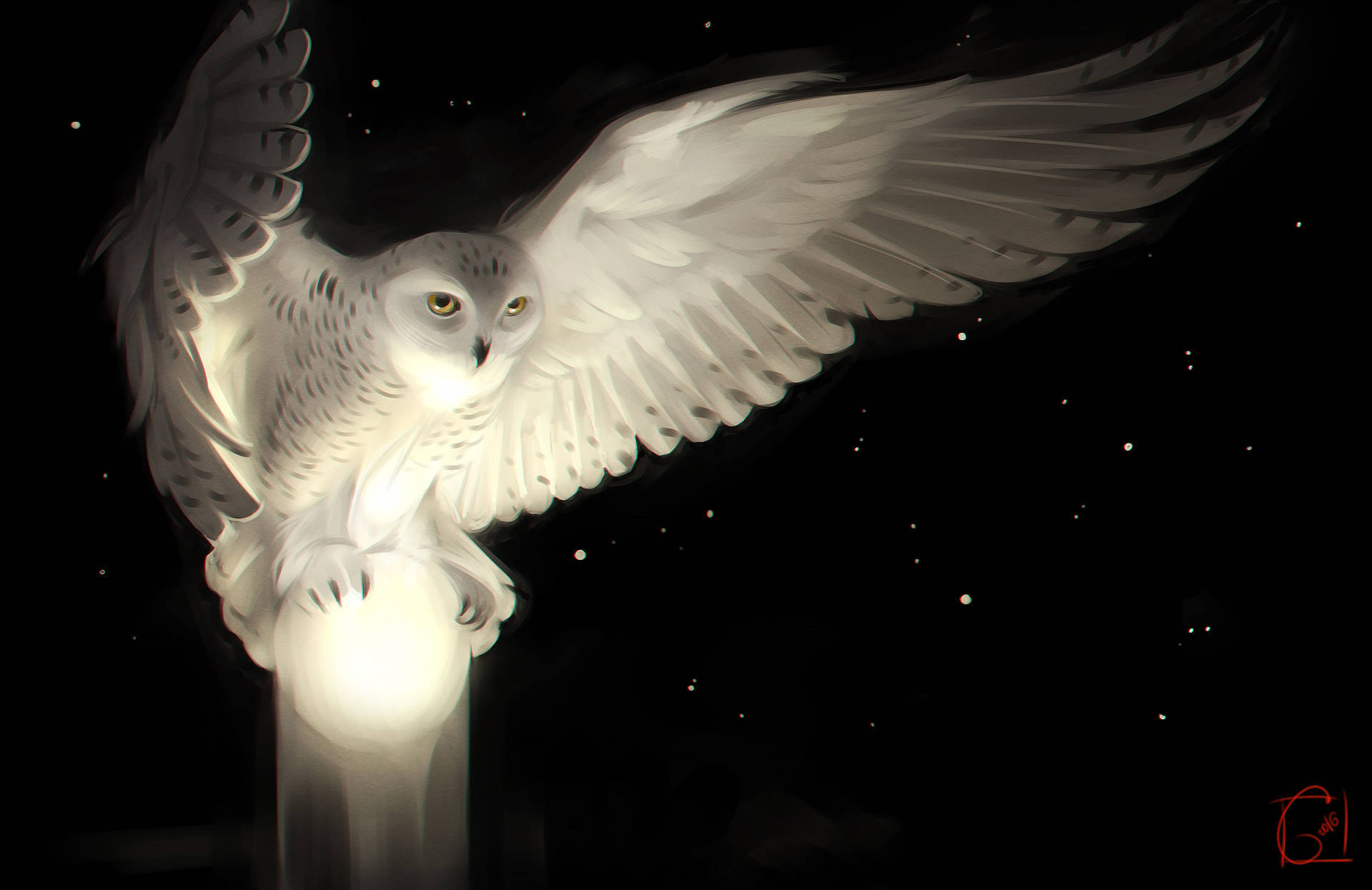 3425X2222 Owl Wallpaper and Background