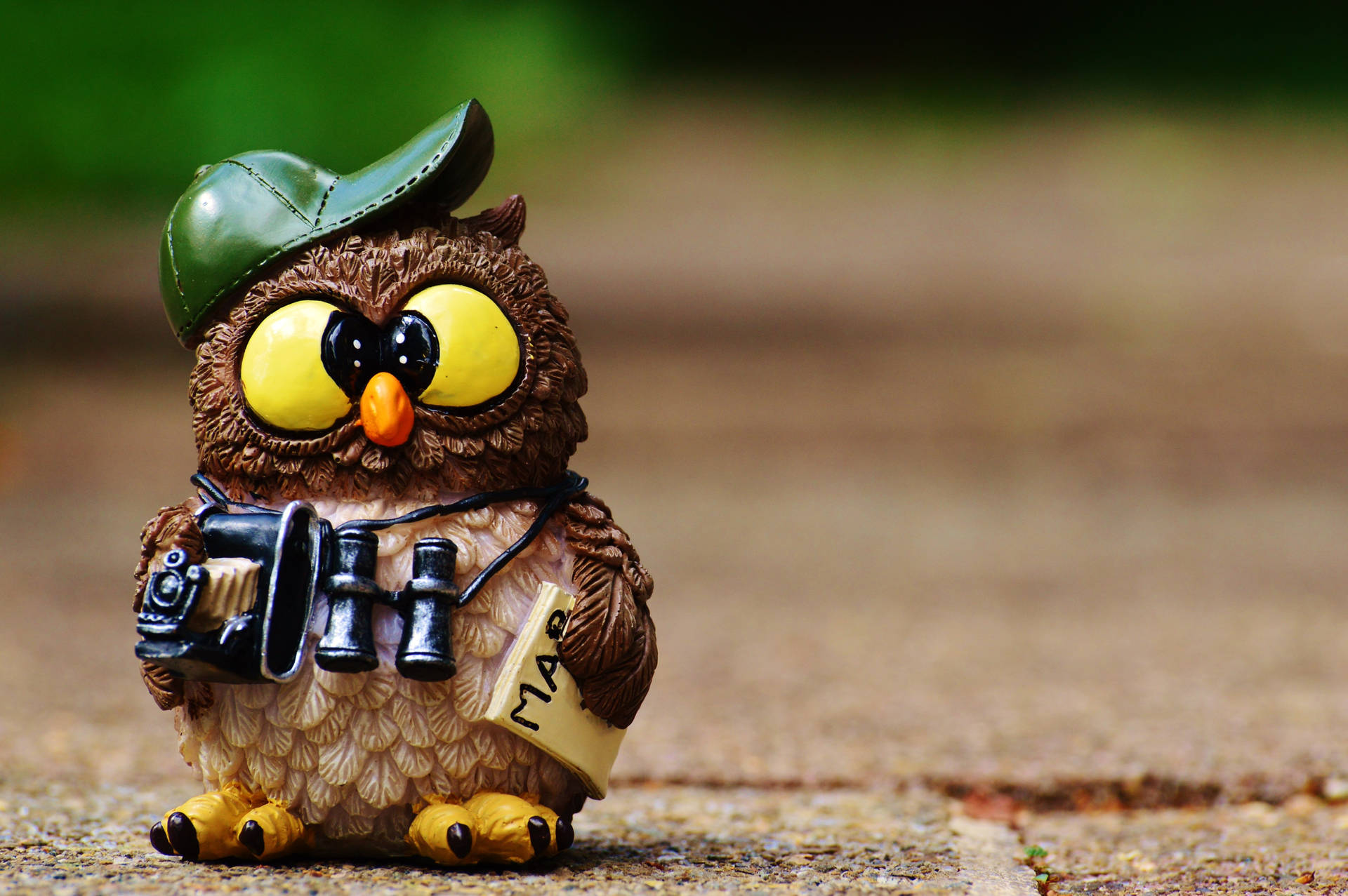Owl 4512X3000 Wallpaper and Background Image